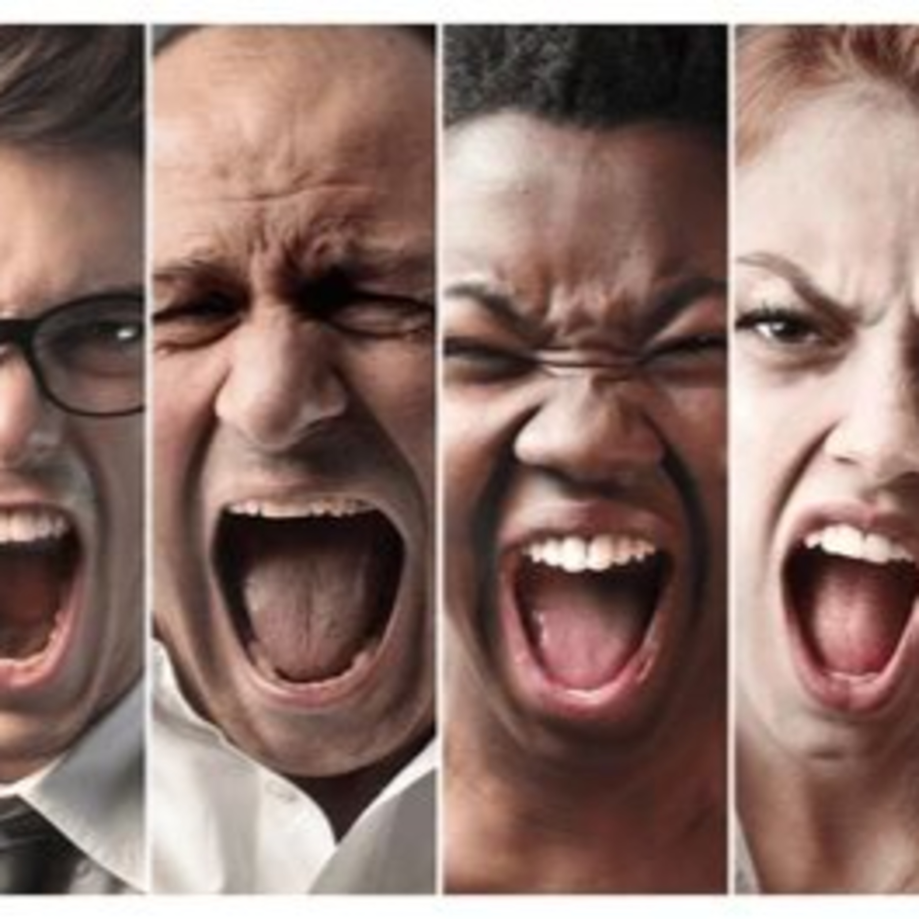 Episode 13: Why America Is So Angry episode artwork