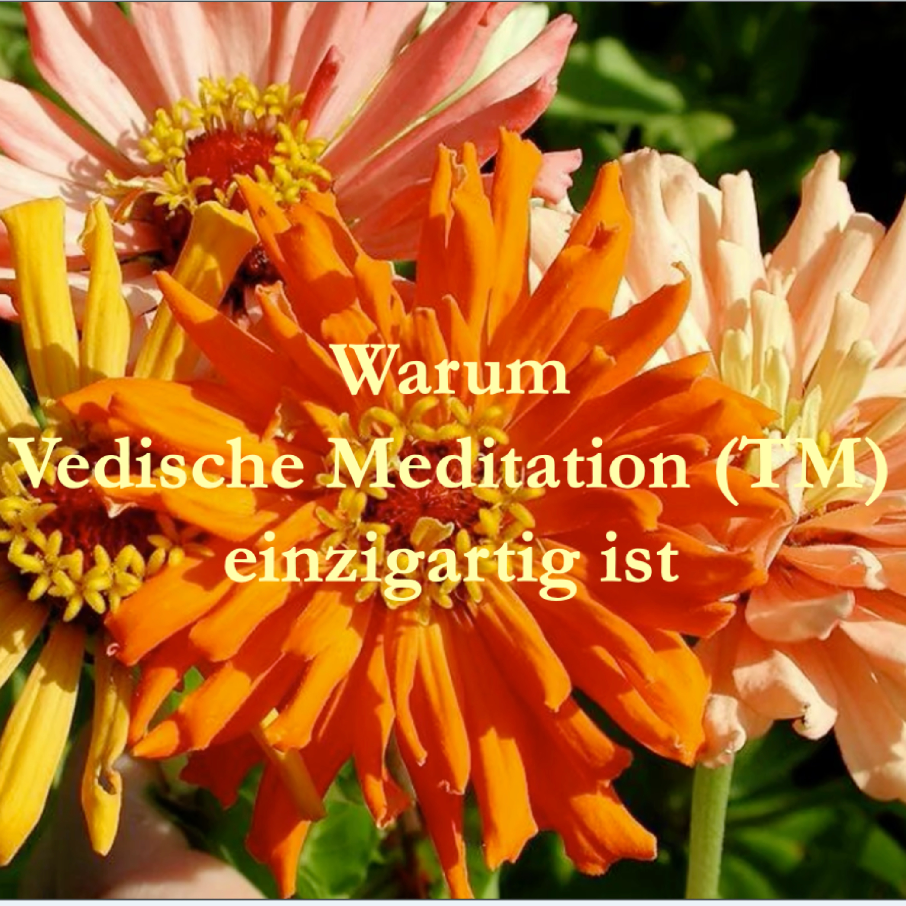 Vedische Meditation – Technik und Wirkung erklärt episode artwork