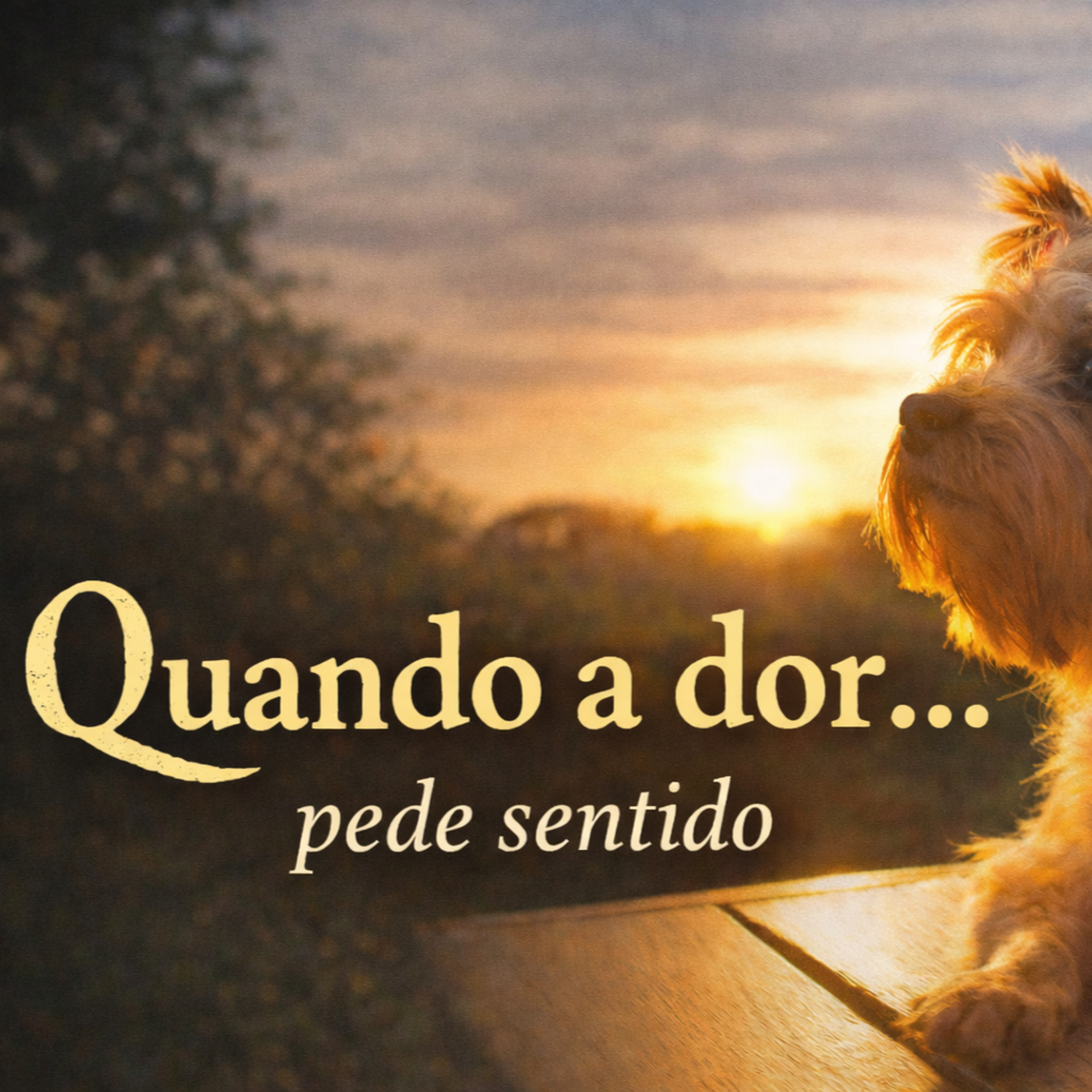 Episódio 3 - Quando a dor pede sentido episode artwork