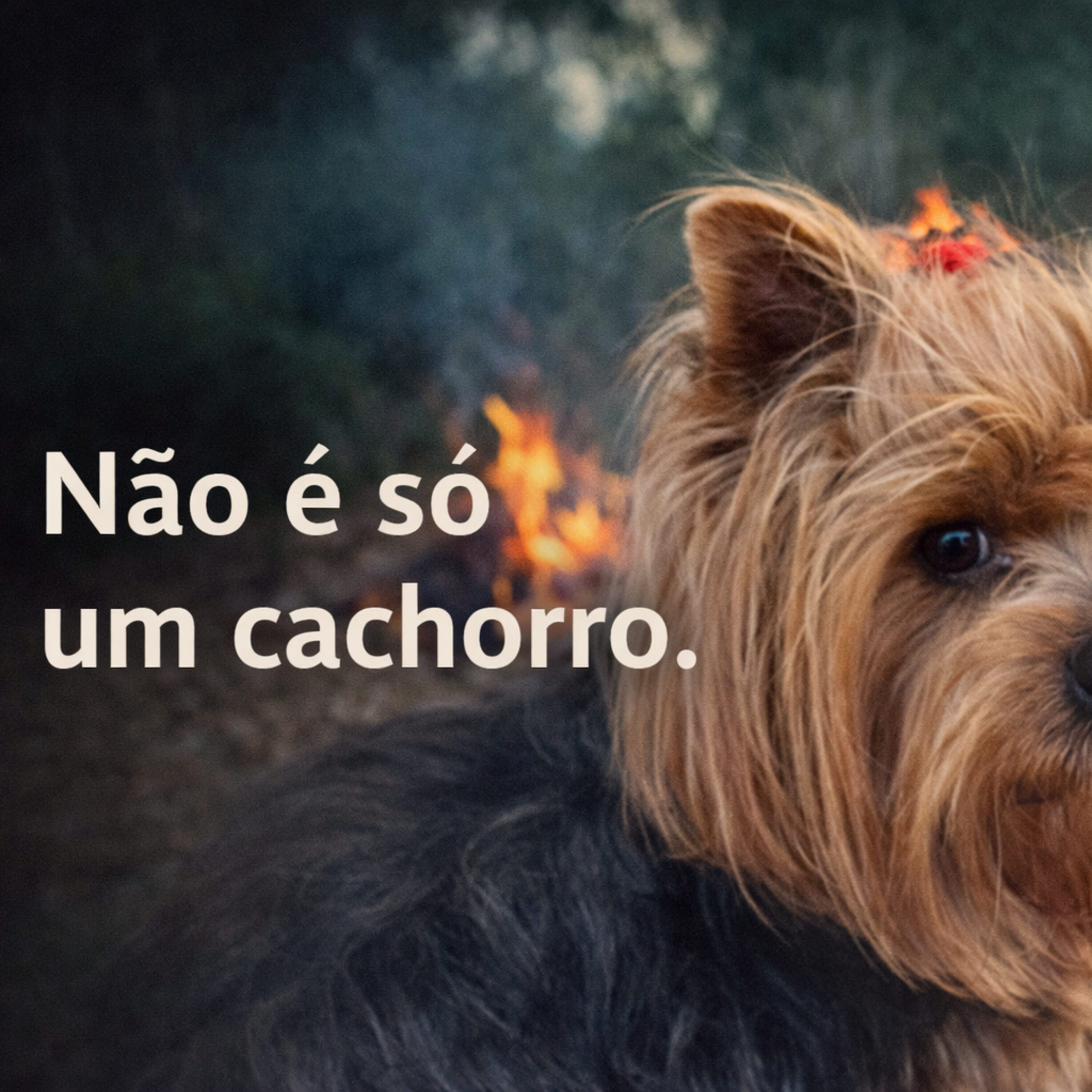 Episódio 2 - Não é só um cachorro episode artwork