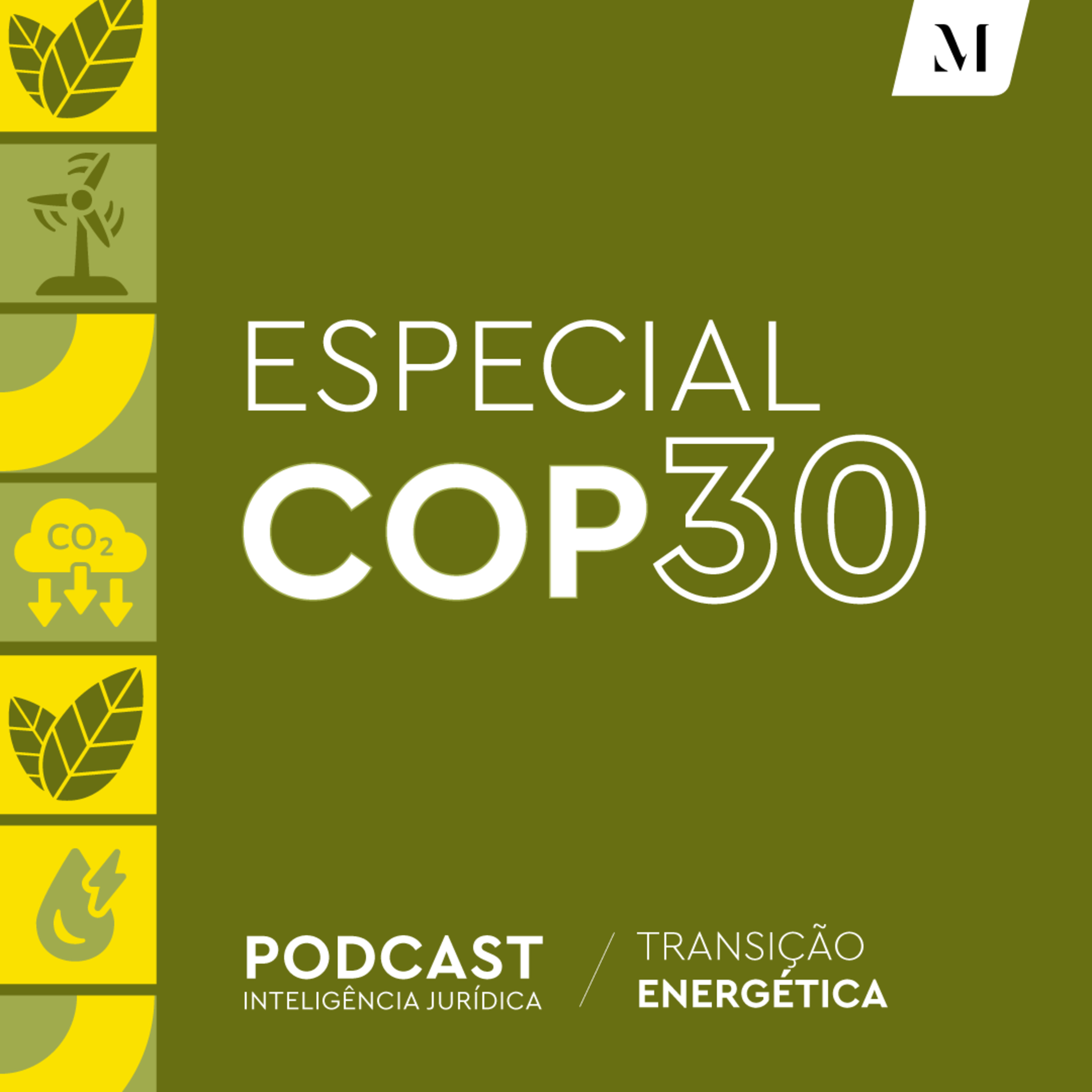 Série Transição Energética – Especial COP30: Tributação de ativos ambientais