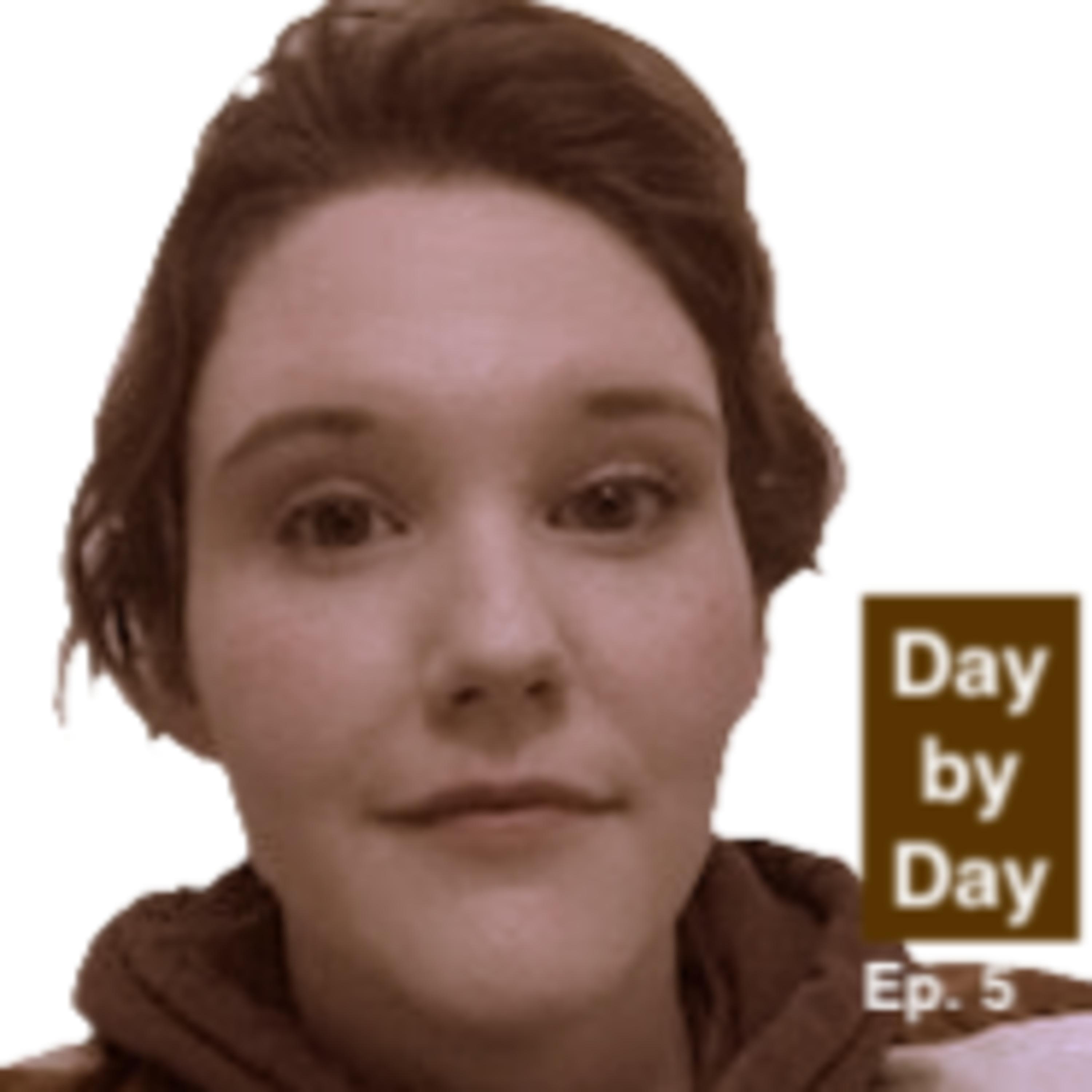 Day By Day Ep 5 A Miracle In The Midwest episode artwork