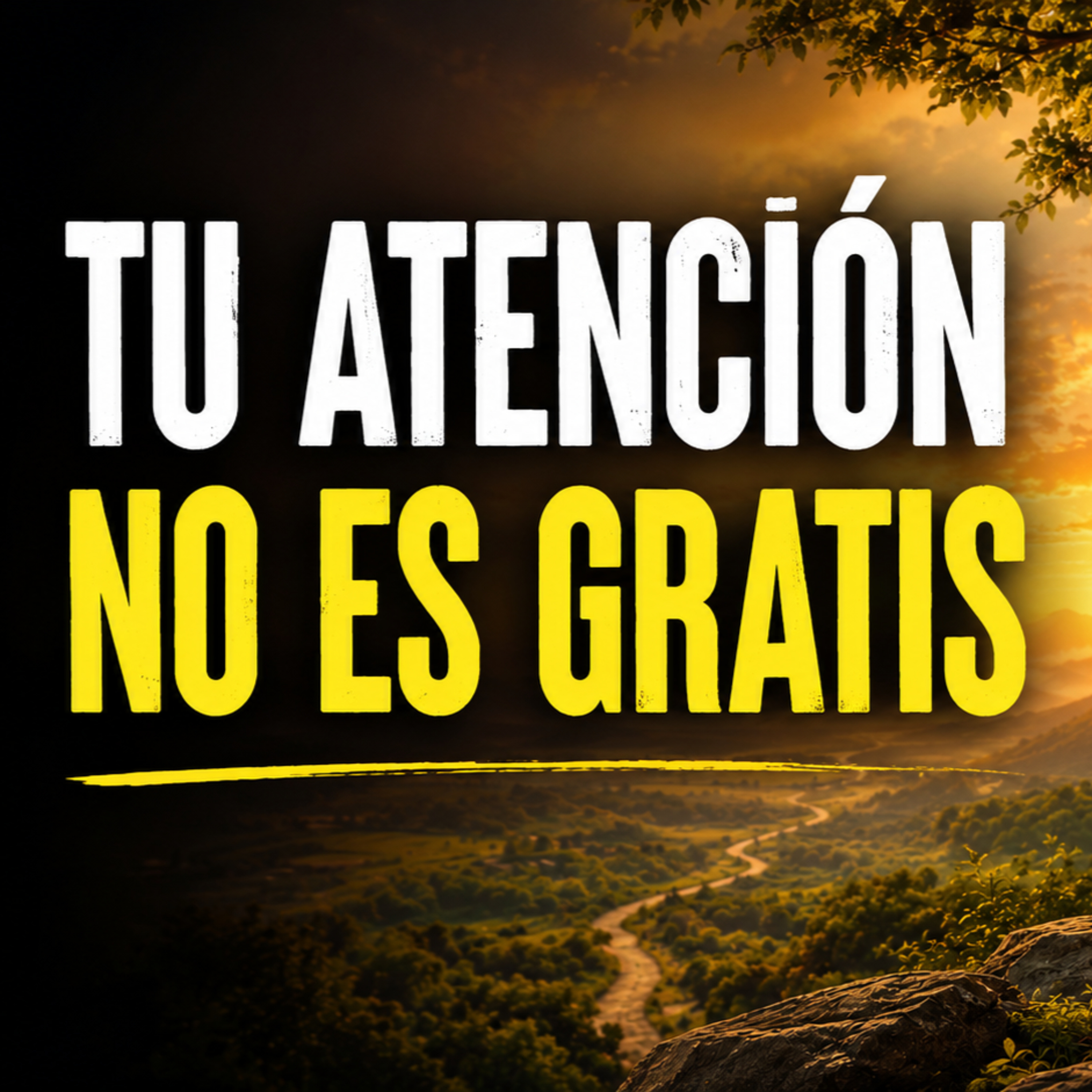 NO TODO merece una respuesta | Zen