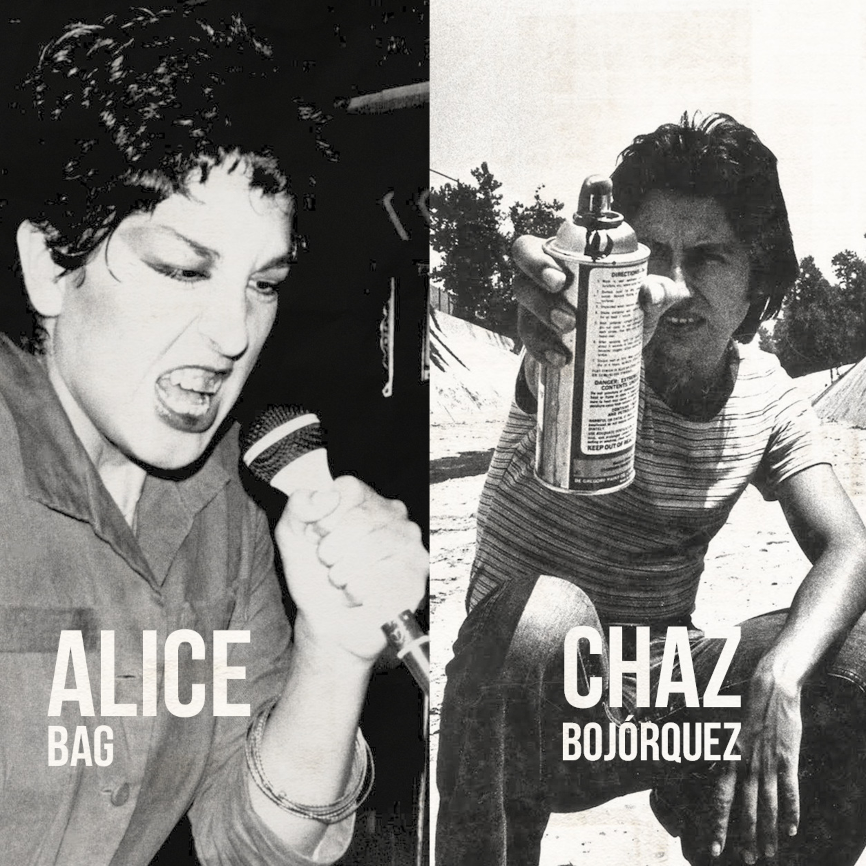 Del varrio al Palacio de Bellas Artes: Arte chicano con Chaz Bojórquez y Alice Bag [Entrevista en inglés] episode artwork