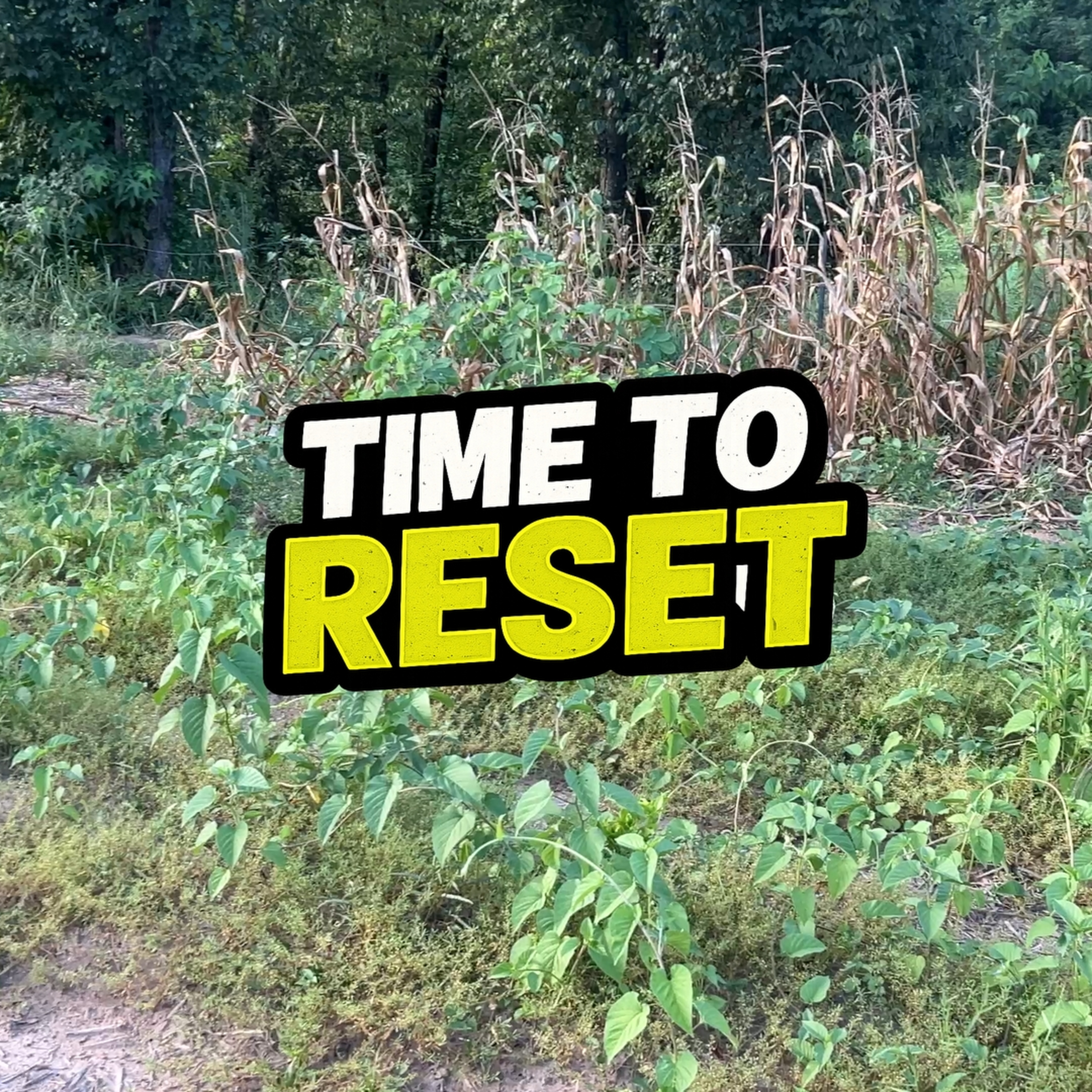 TIme To Reset  episode artwork
