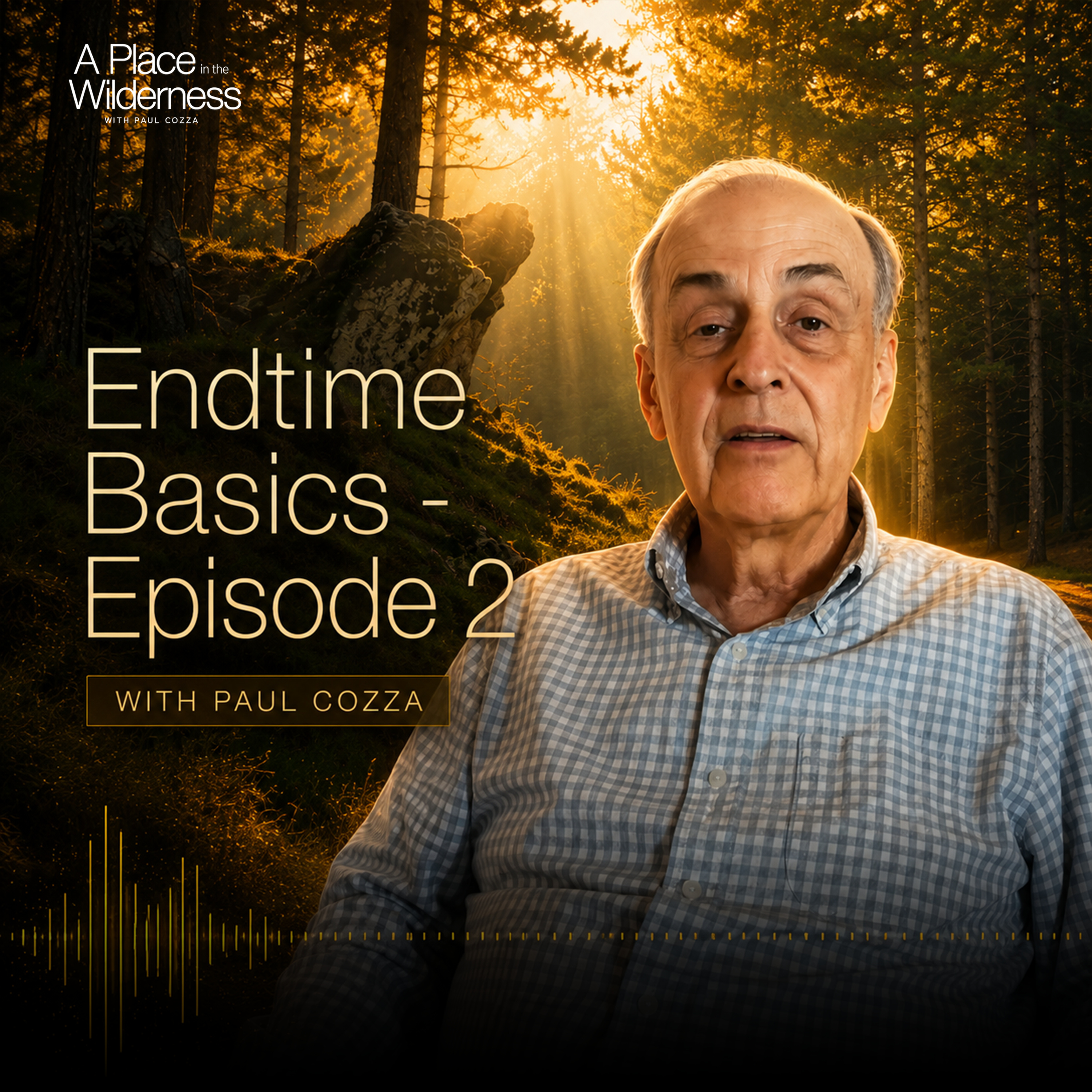 The Endtime Basics - Episode 2 episode artwork