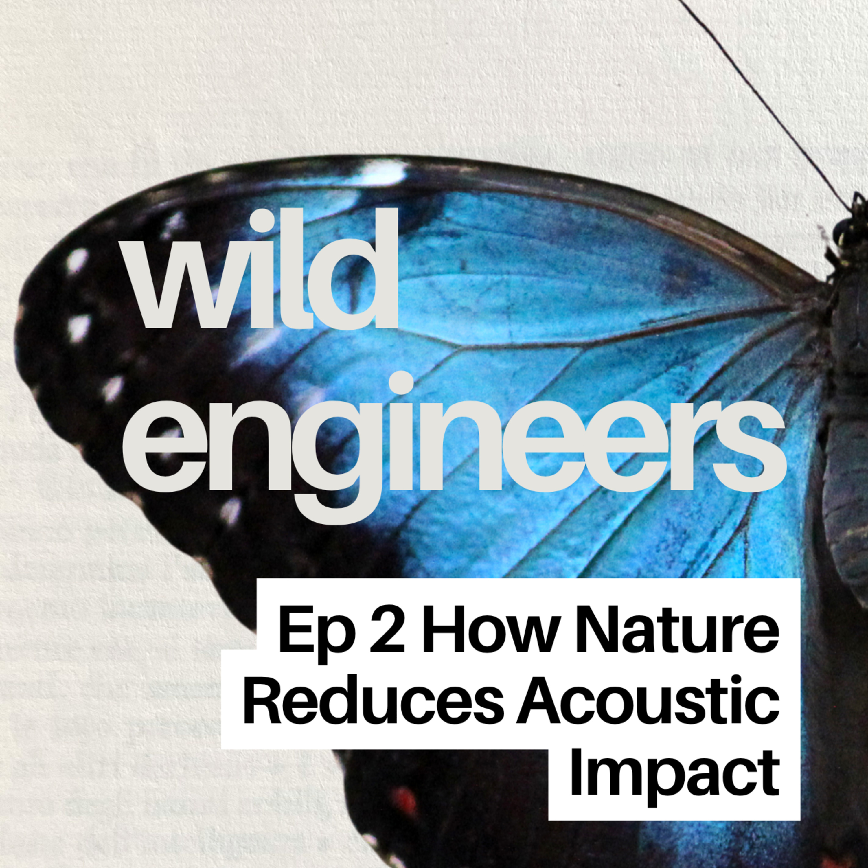 Ep 2 How Nature Reduces Acoustic Impact episode artwork
