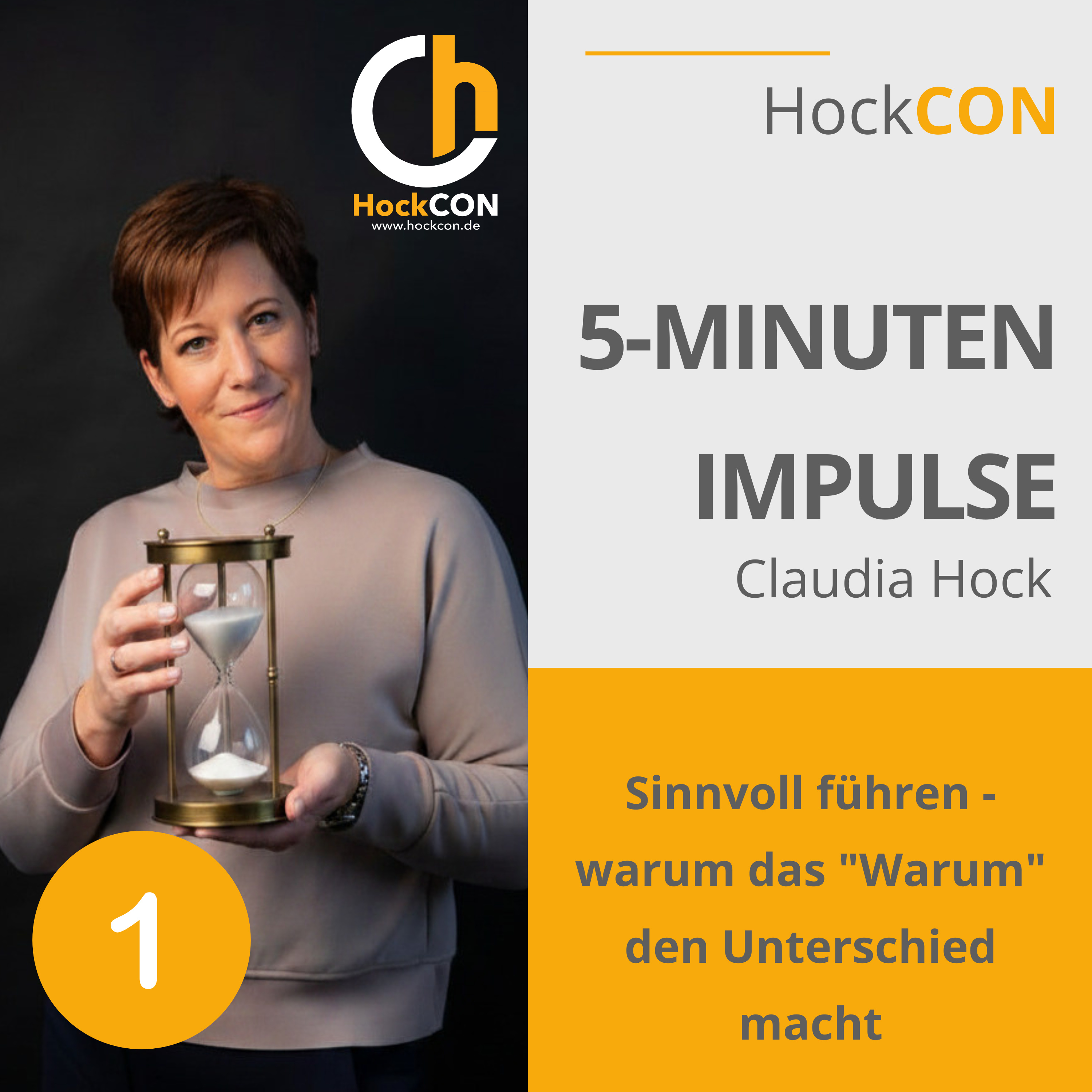 Sinnvoll führen - warum das "Warum" den Unterschied macht episode artwork