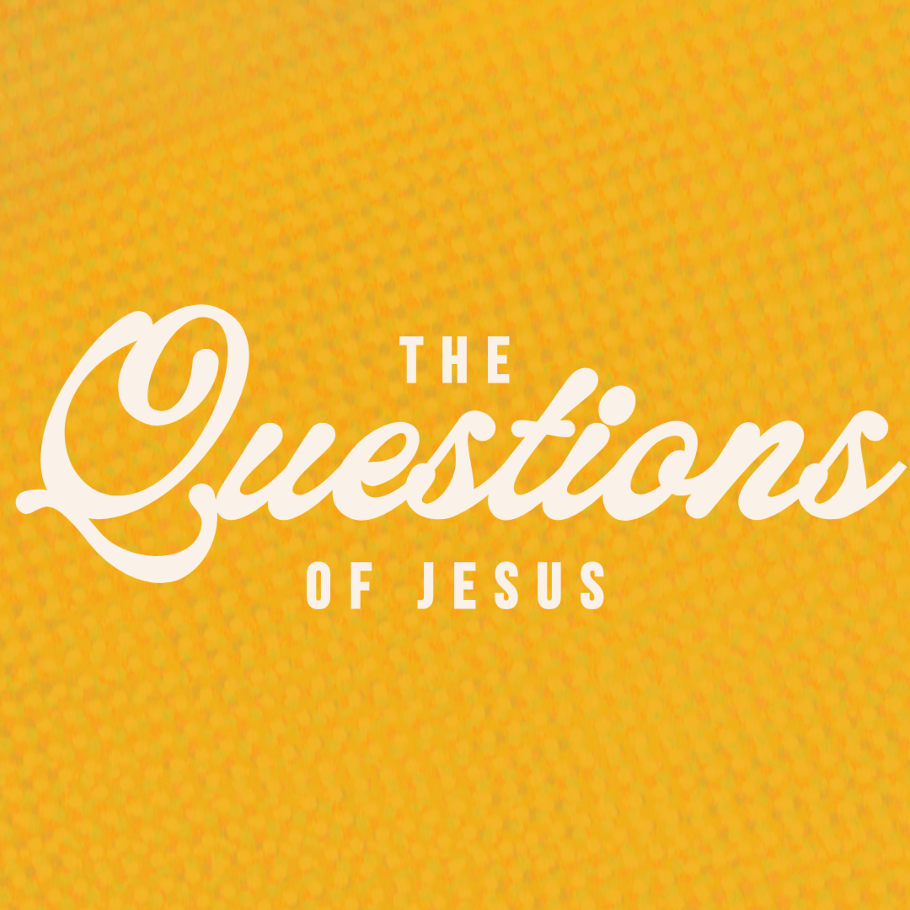 Why Do You Call me Lord, and Do Not Do What I Say? - The Questions of Jesus episode artwork