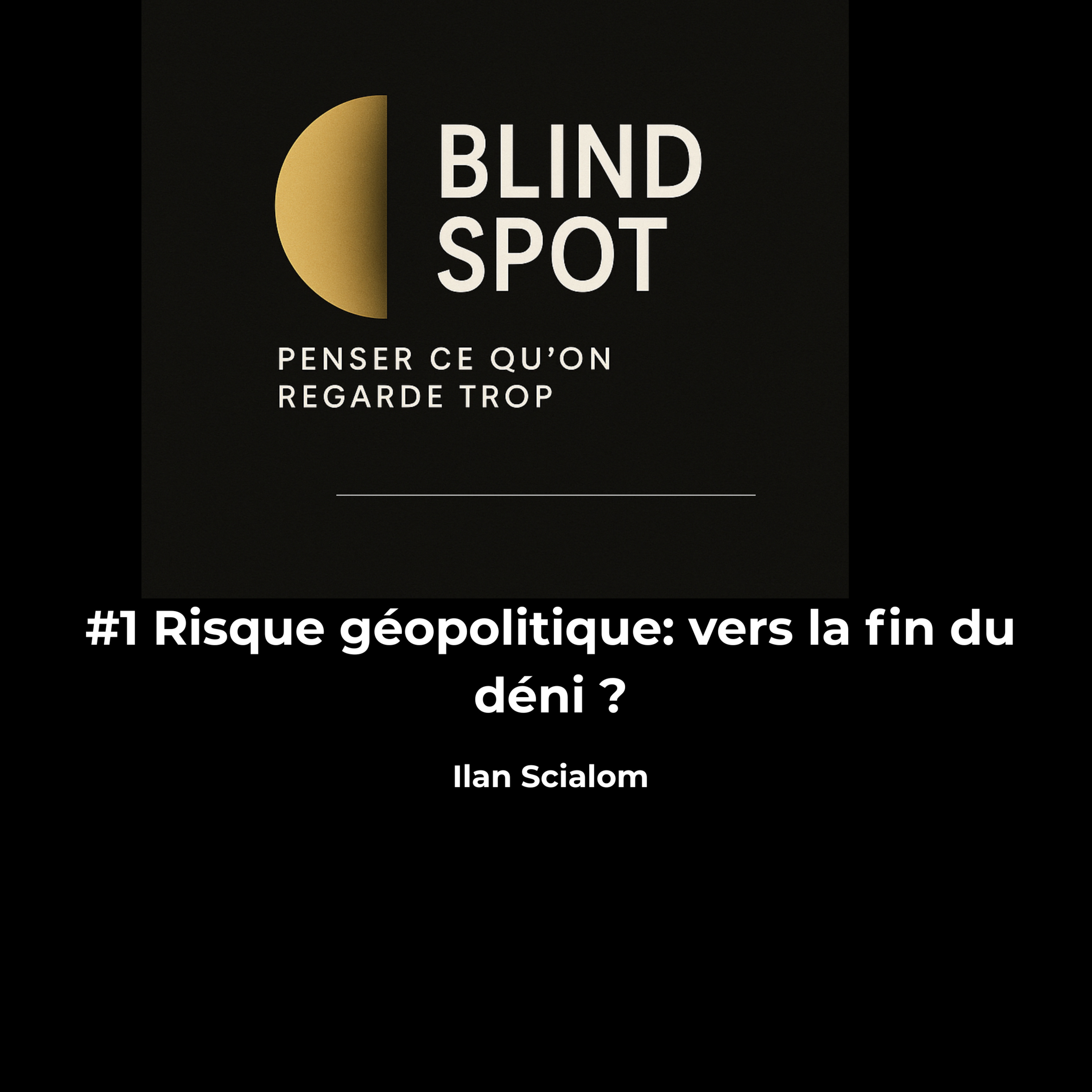 #1 Risque géopolitique : la fin du déni ? episode artwork