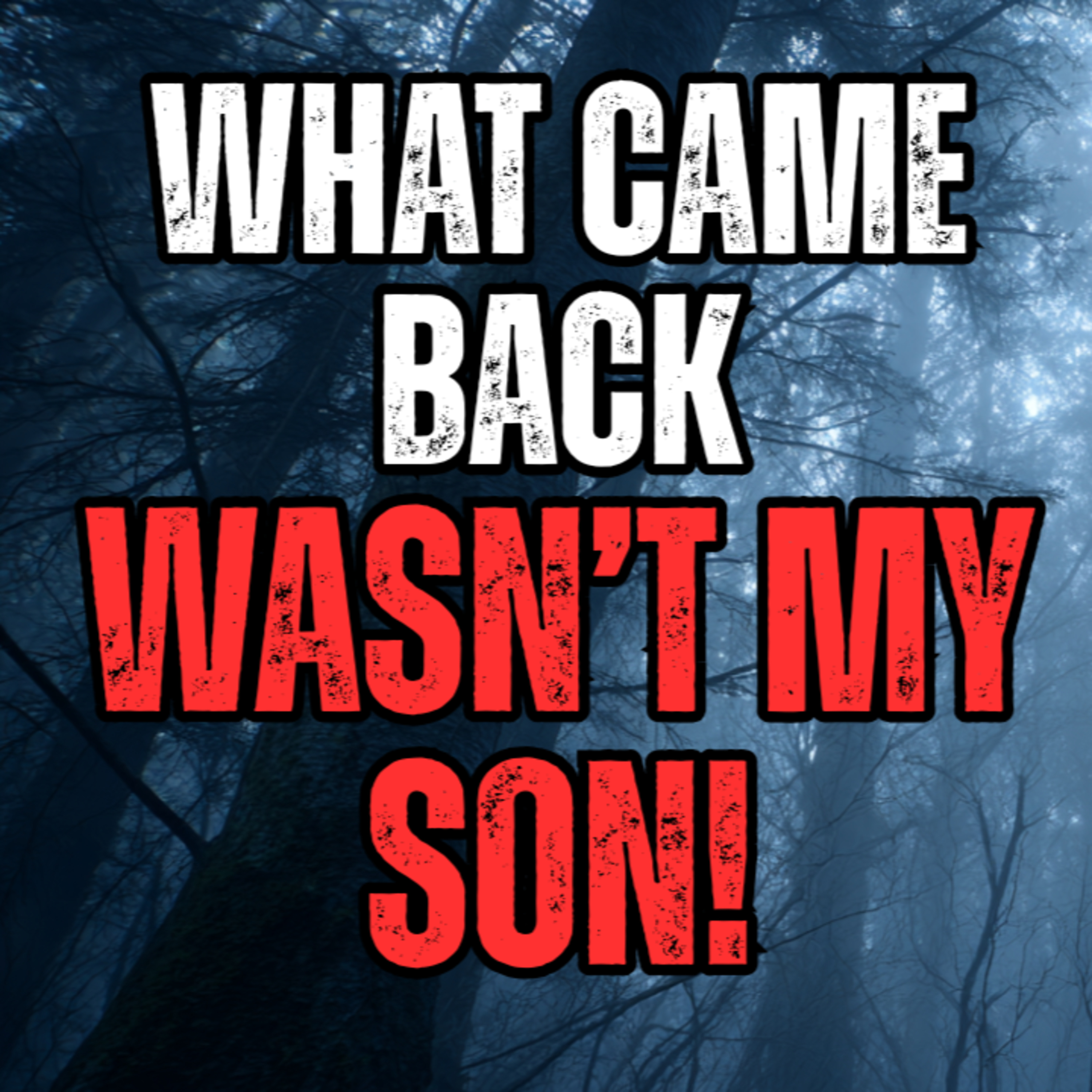 What came back wasn't my son! episode artwork