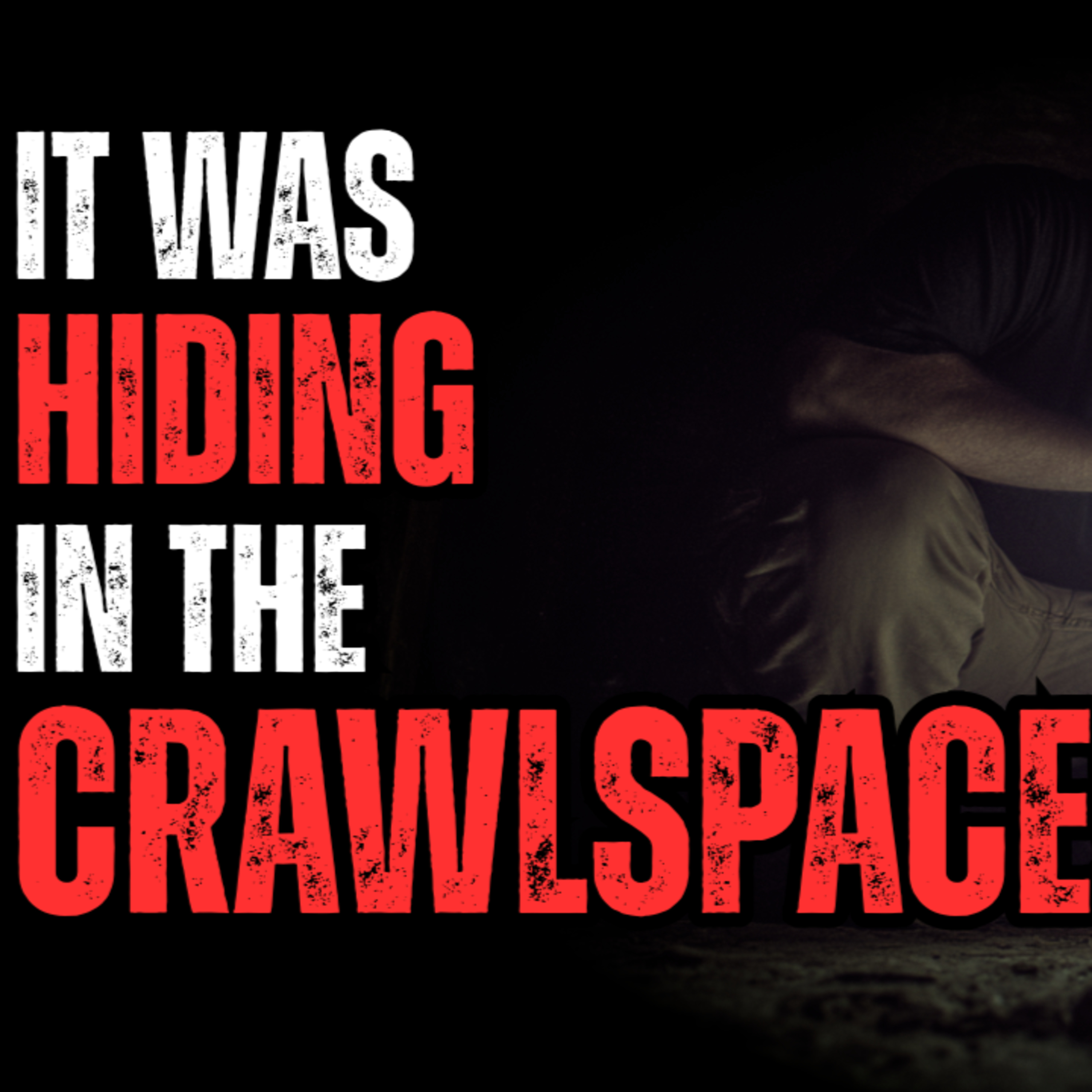 It was hiding in the crawlspace! episode artwork