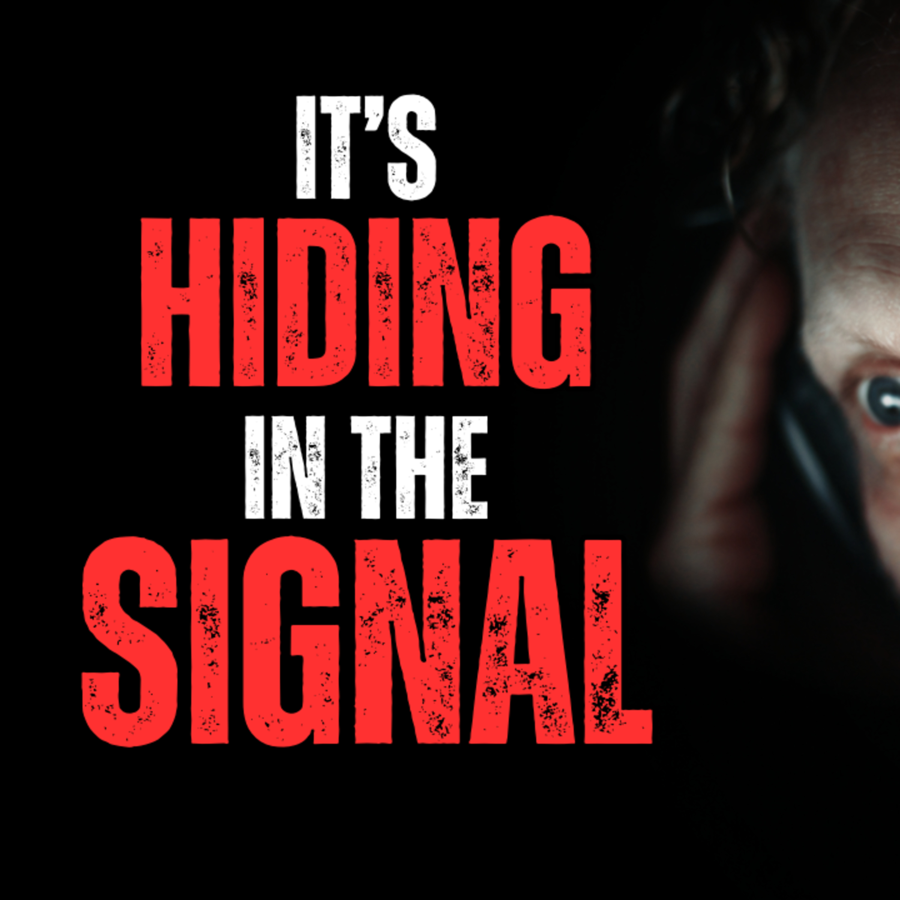 It's Hiding in the Signal! episode artwork