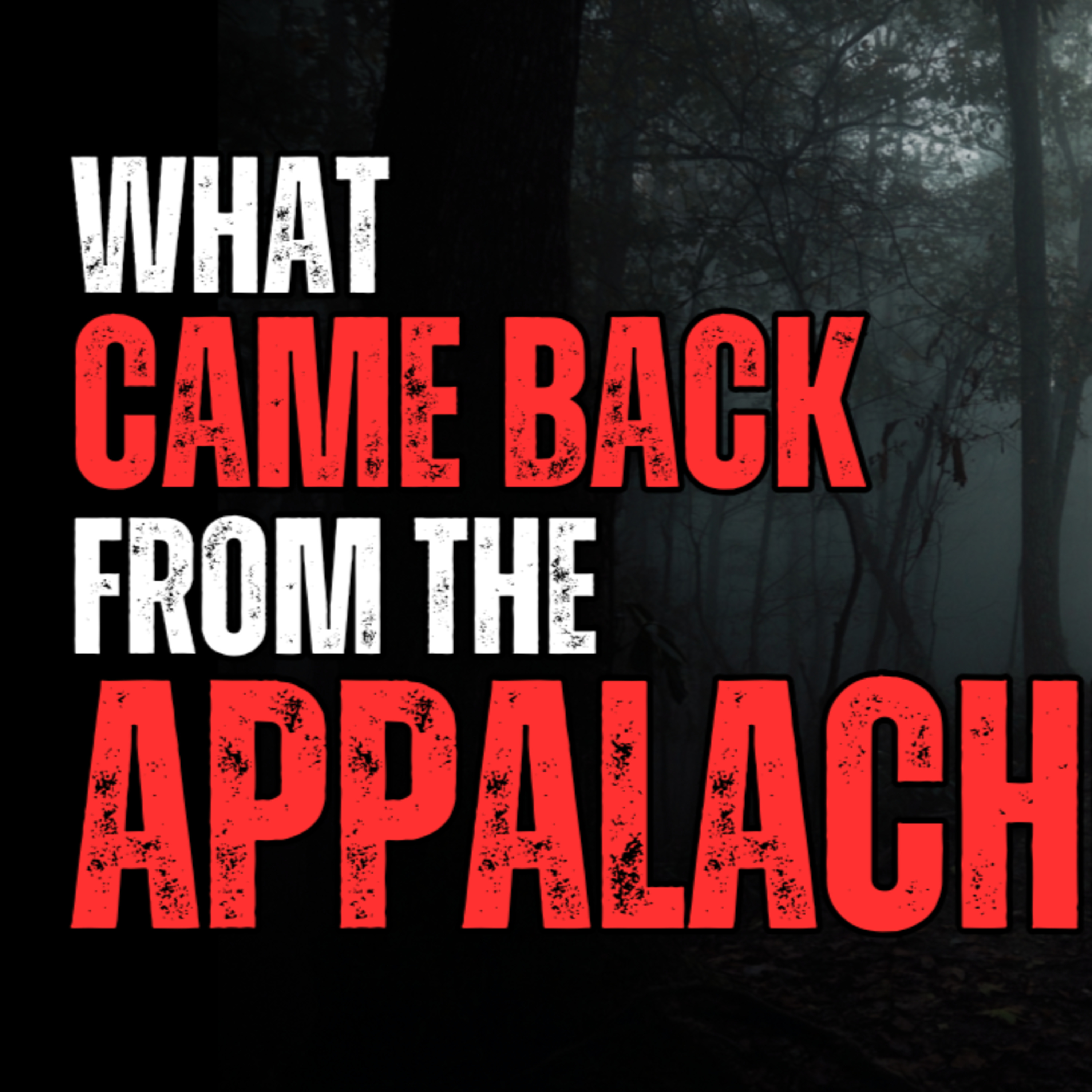 What Came Back from the Woods? episode artwork