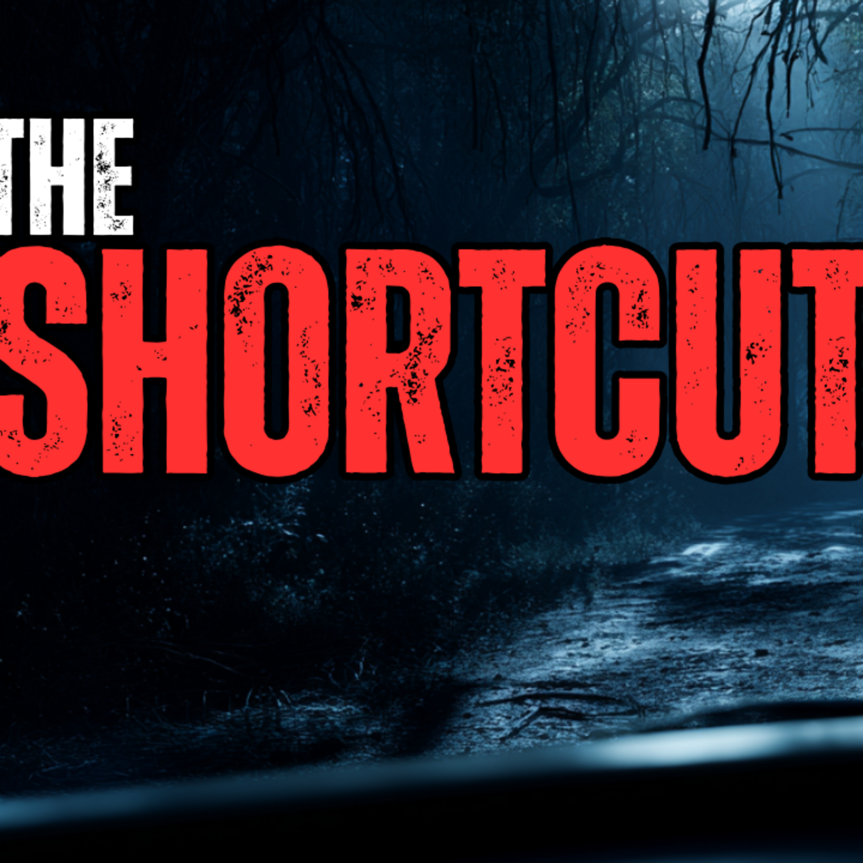I took a wrong turn! episode artwork