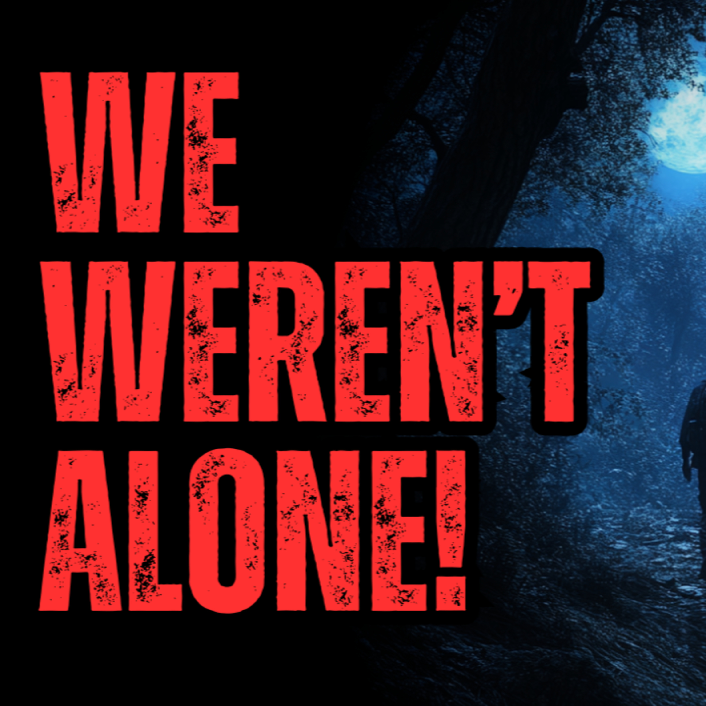 We were not alone in the woods! episode artwork