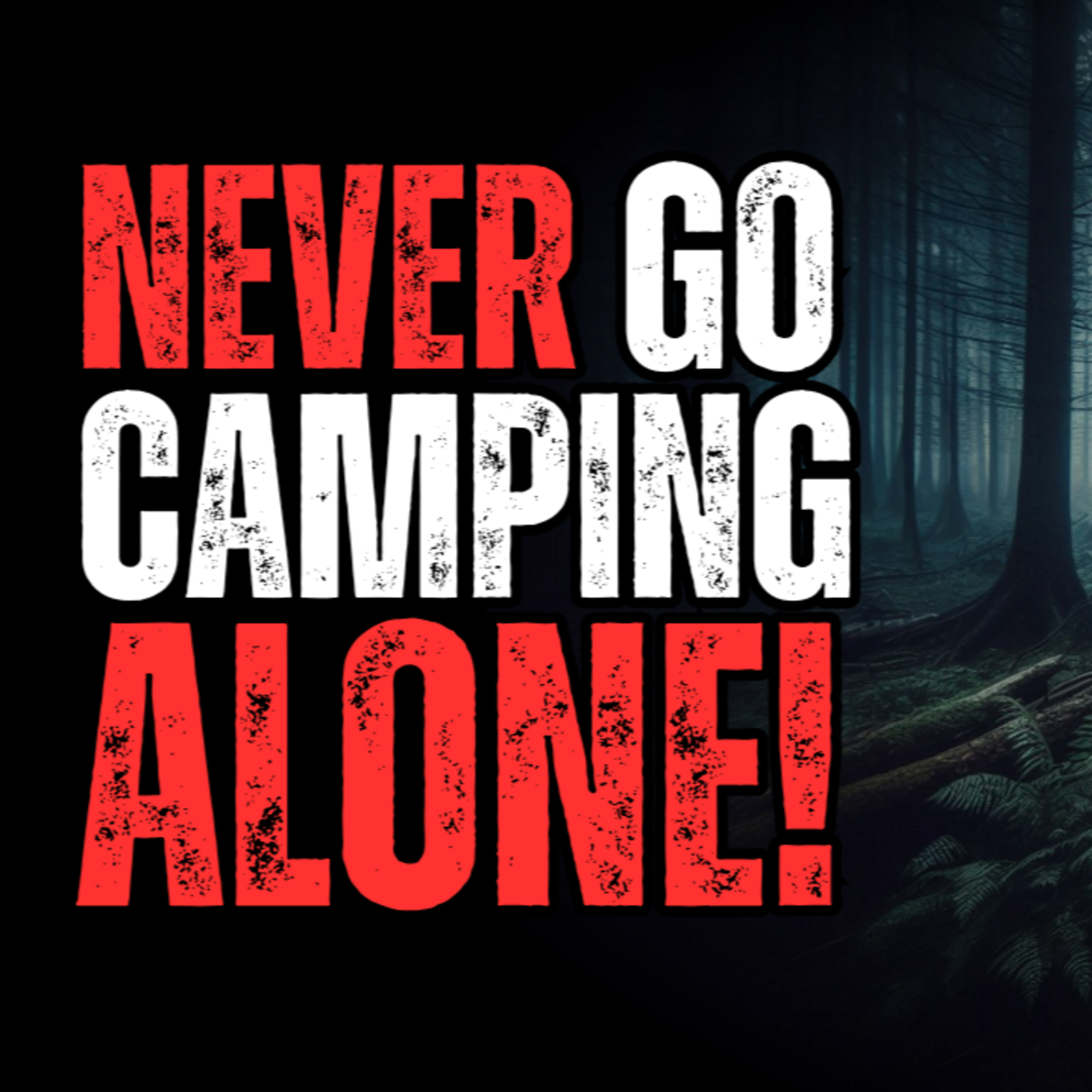 I'll never go camping alone again! episode artwork