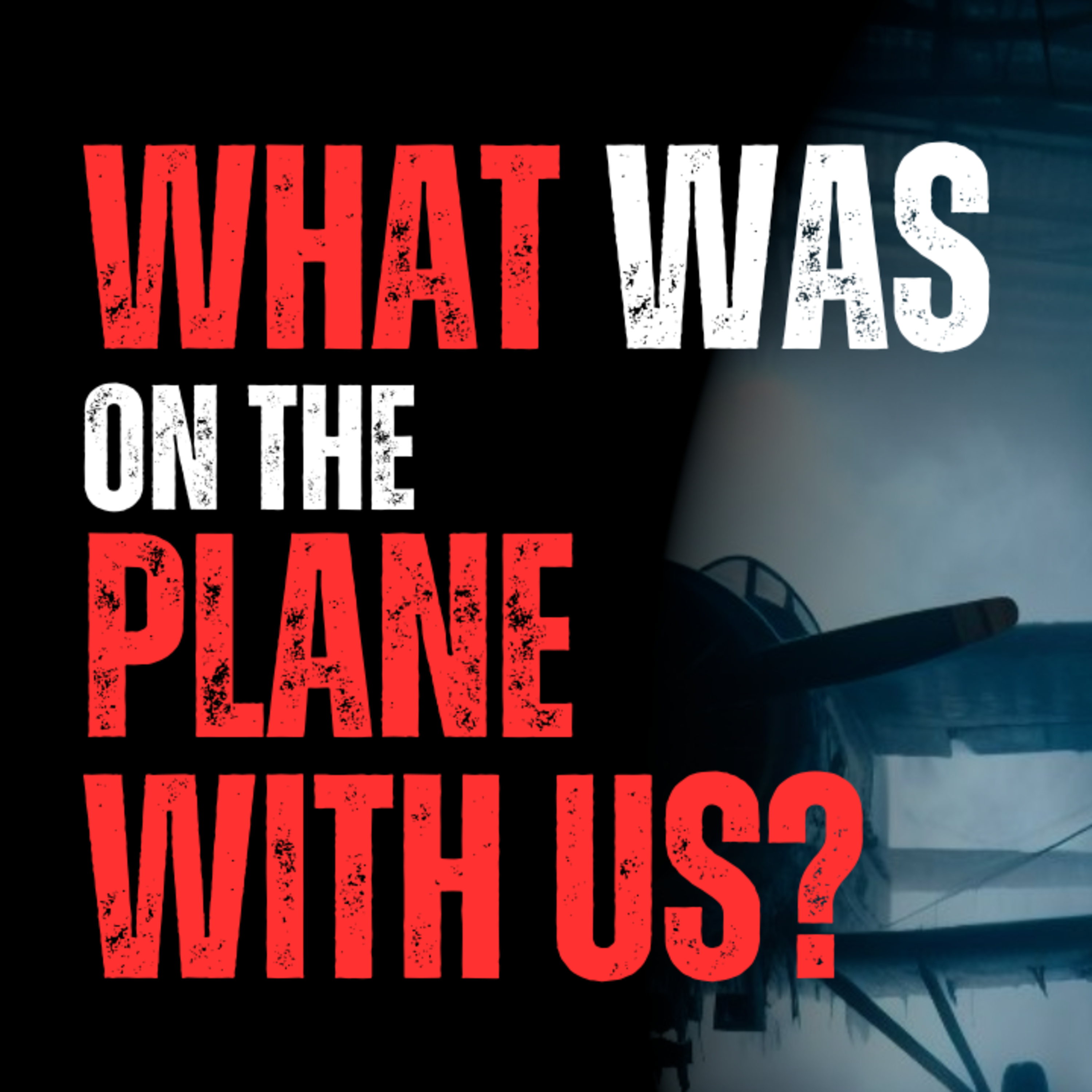 Something Else Got on the Plane with Us! episode artwork