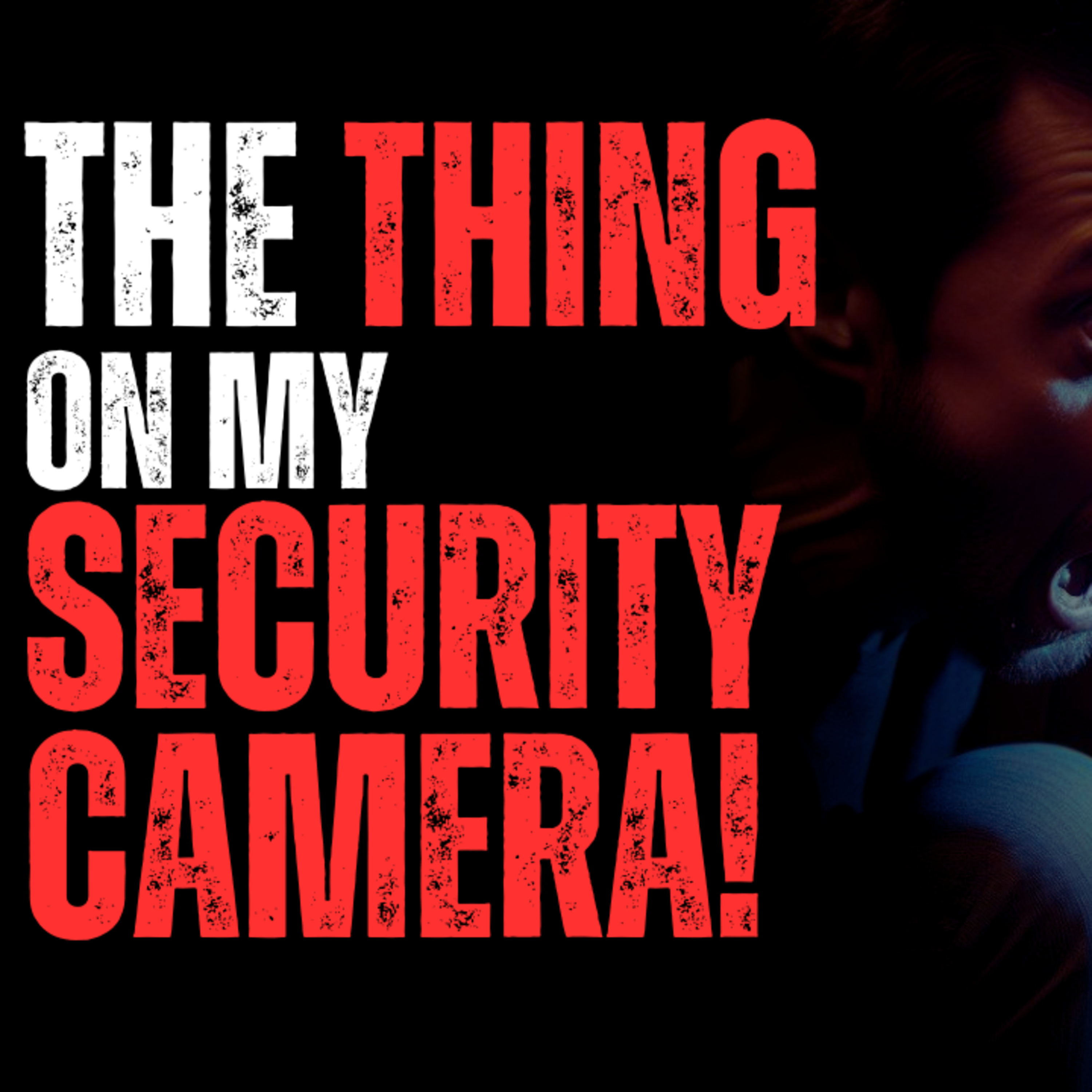 The Thing I Saw on My Security Camera episode artwork