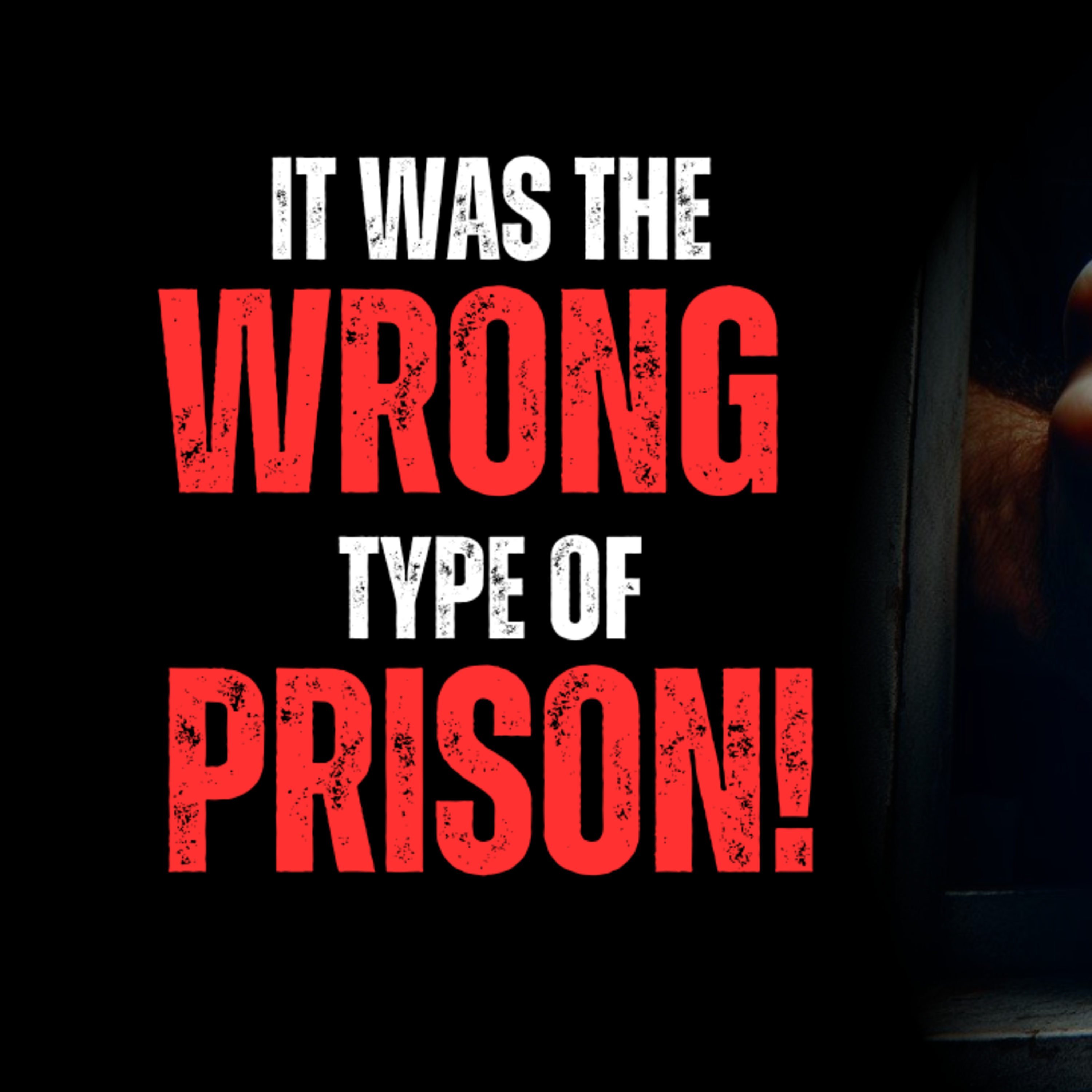 It was the wrong type of prison! episode artwork