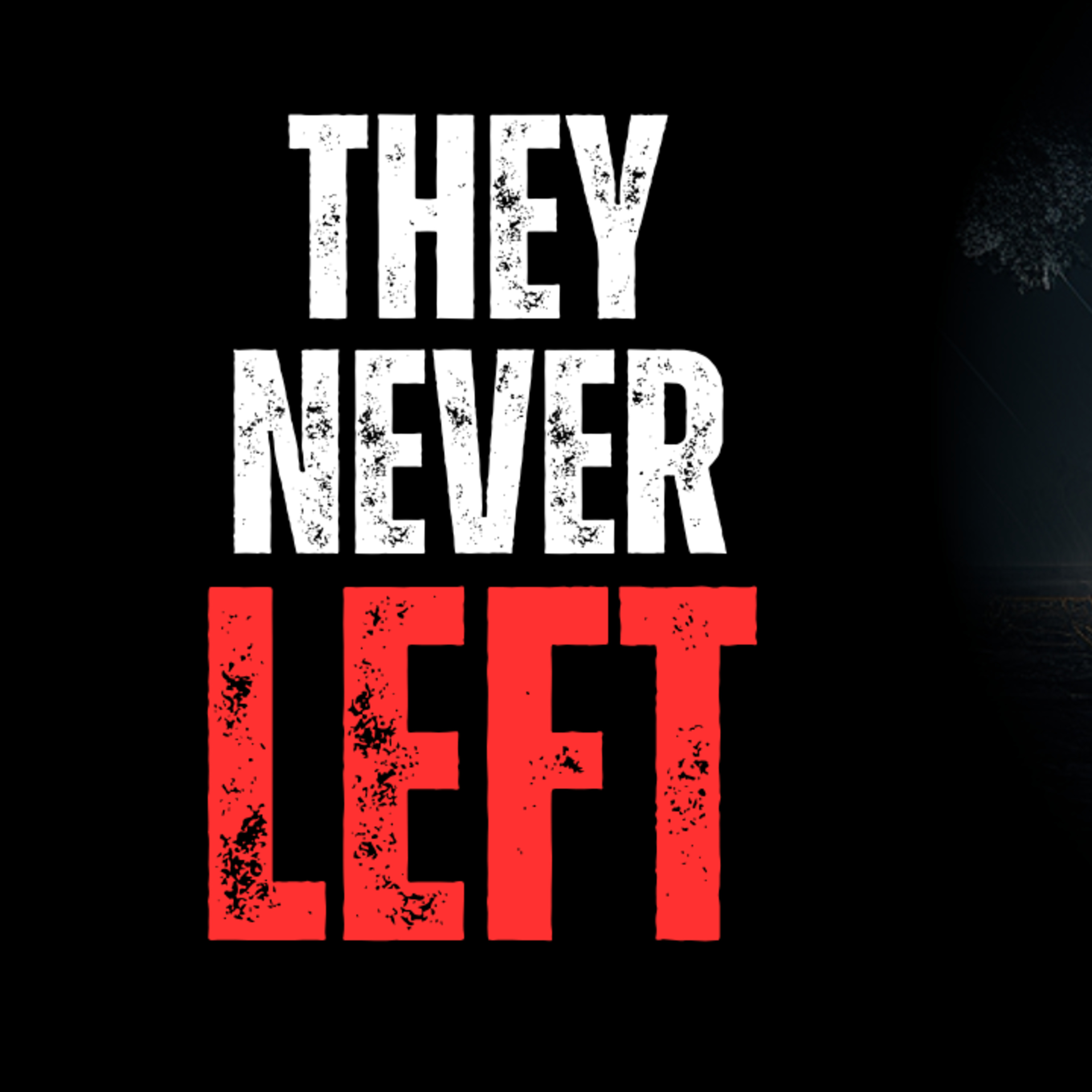 Someone pulled into my driveway one night and never left. episode artwork