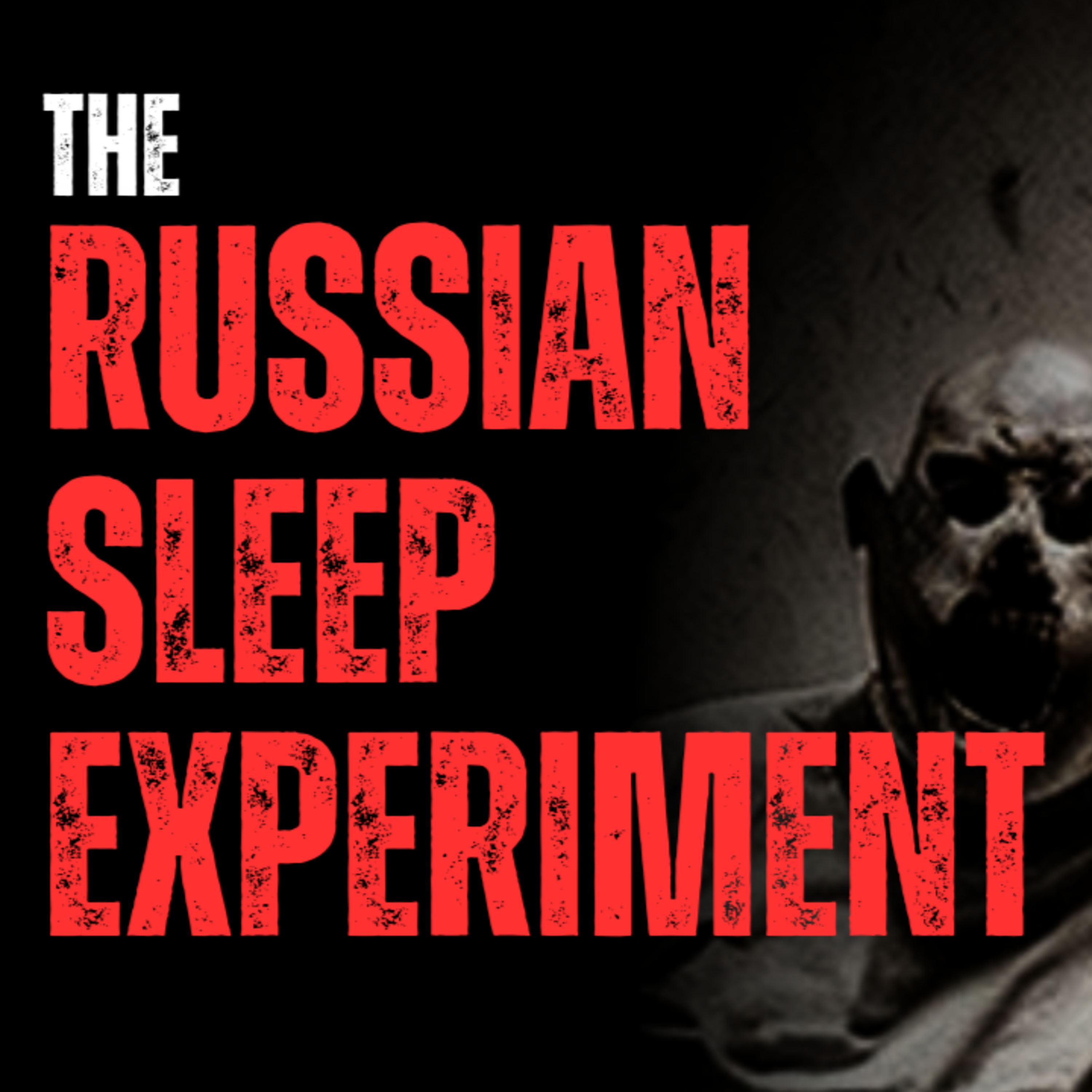 Russian Sleep Experiment episode artwork