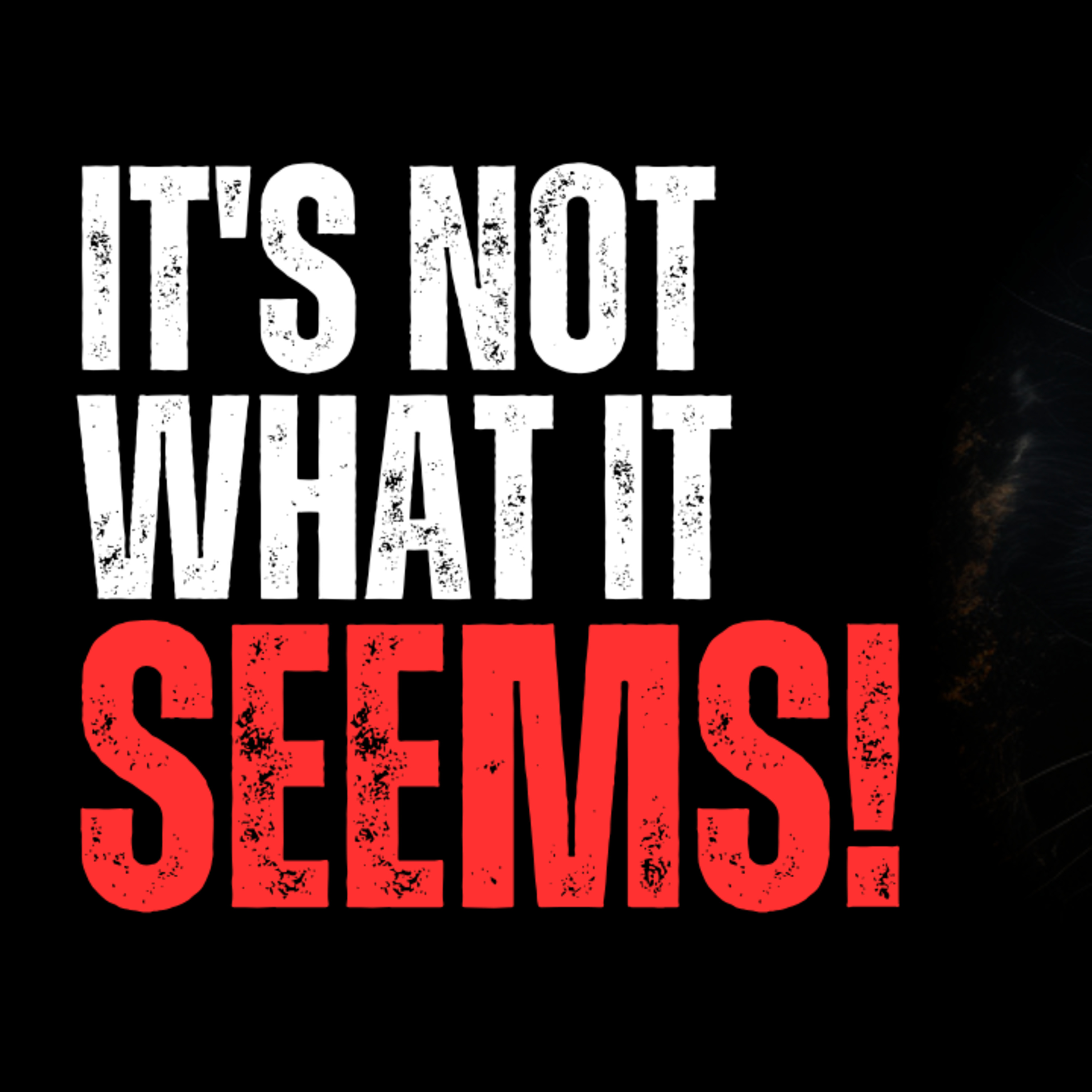 DON'T KEEP THIS CAT! episode artwork