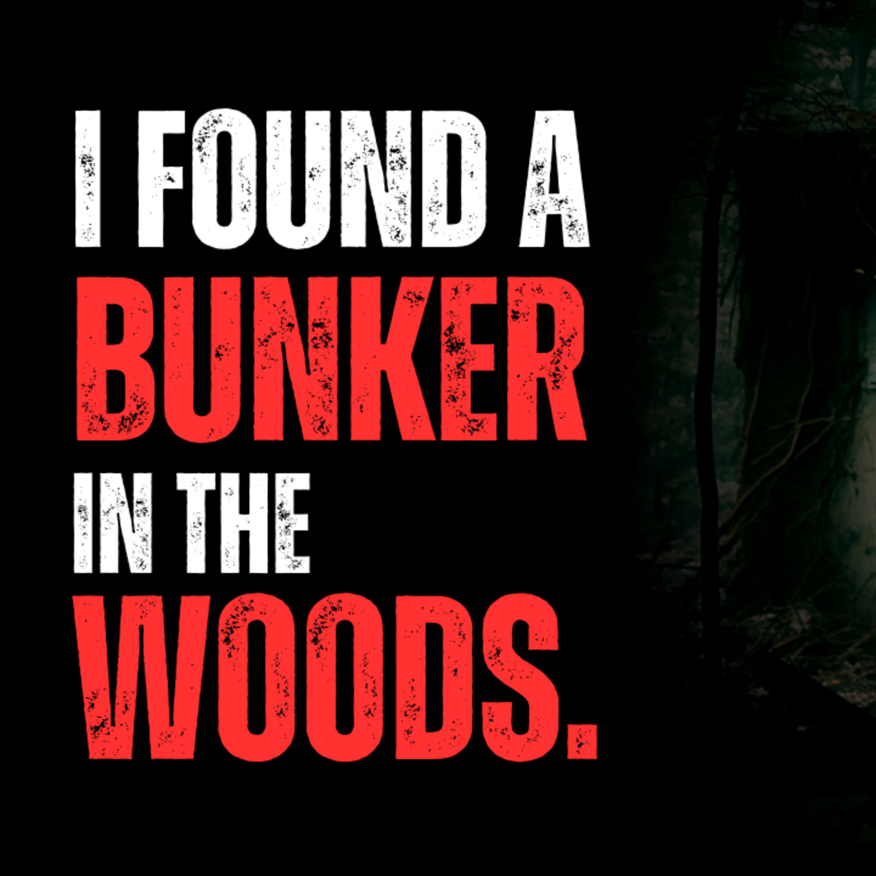 I found the bunker of a prepper family who went missing three years ago episode artwork