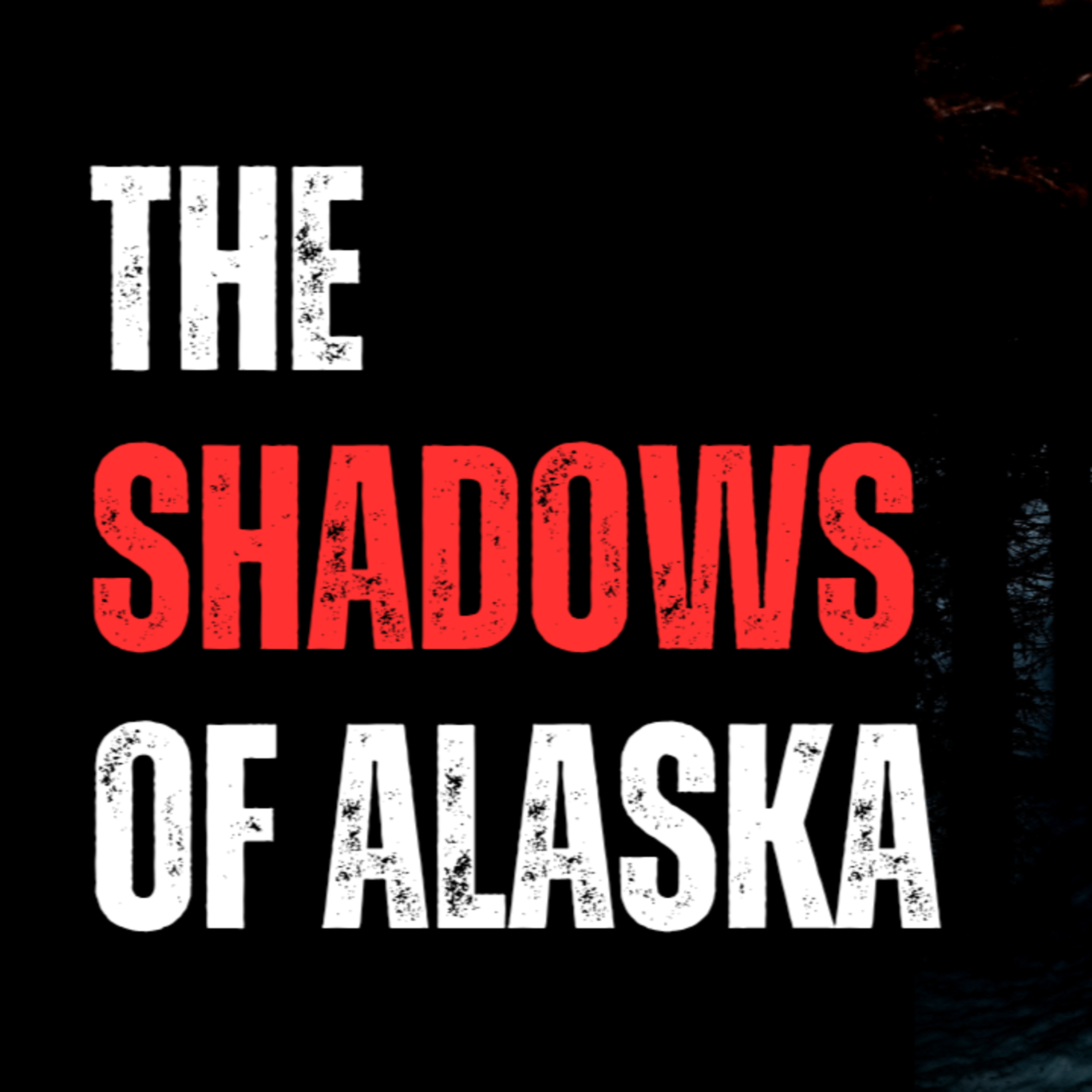 I was an Alaskan bush pilot. This is what I saw...  episode artwork