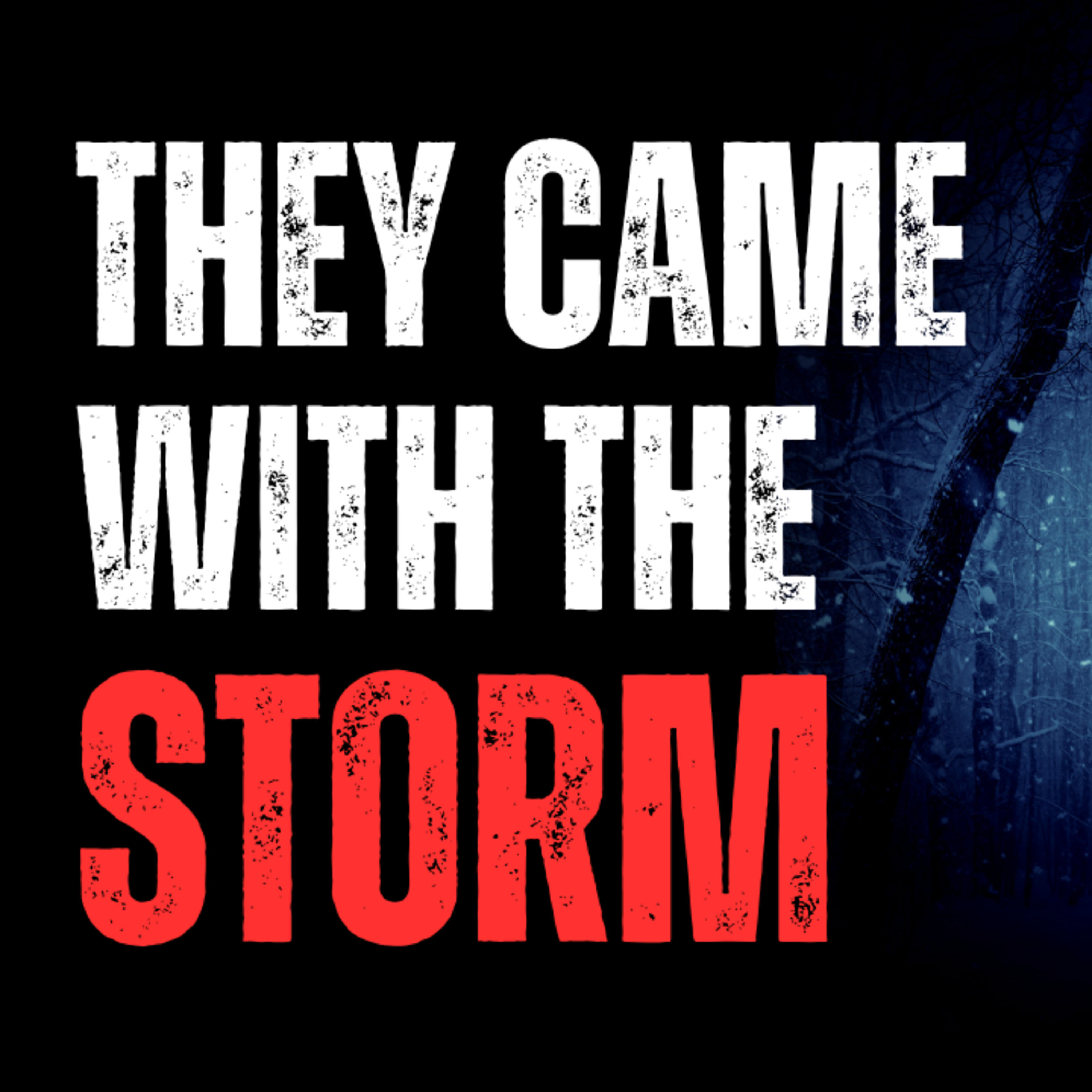 They Came for us in the blizzard. Only a few of us survived episode artwork