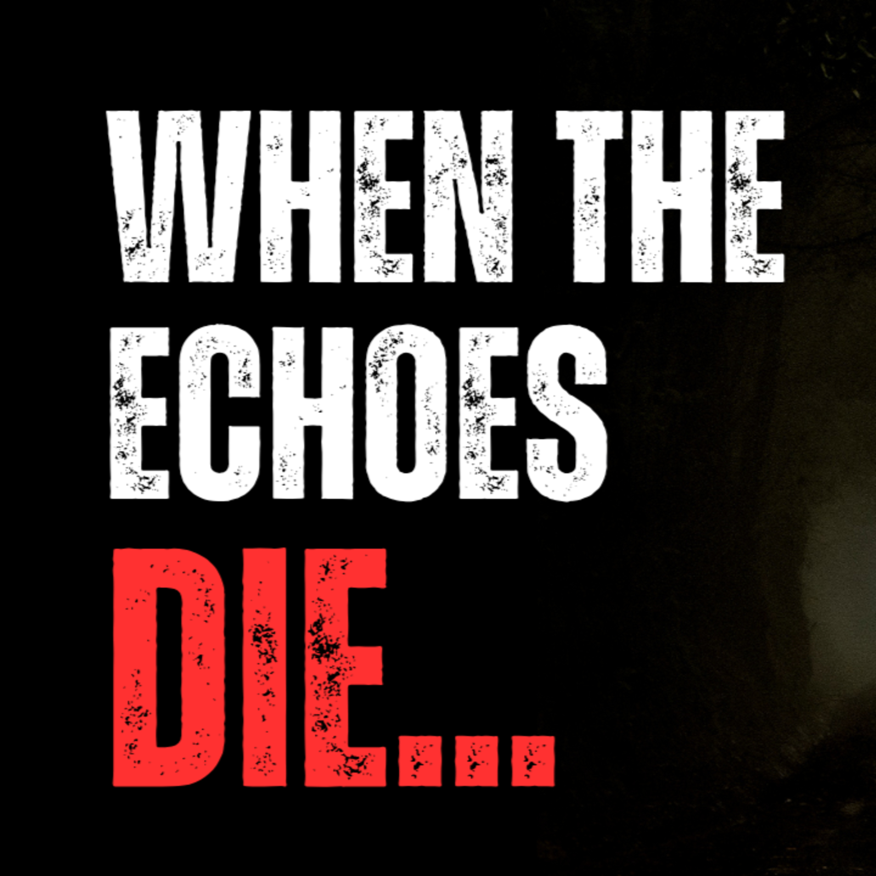 When the echoes die, the darkness comes... episode artwork