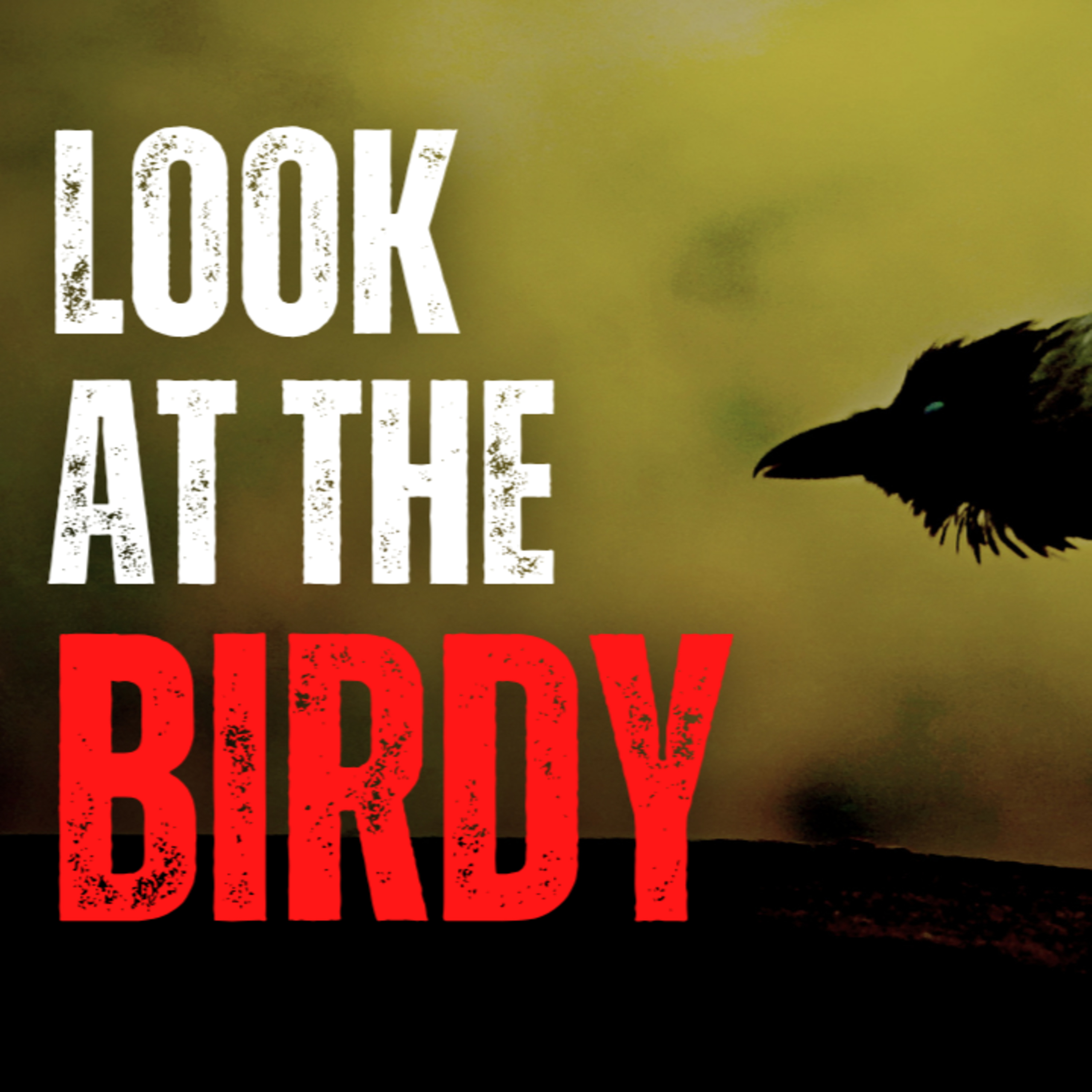Look at the birdy episode artwork