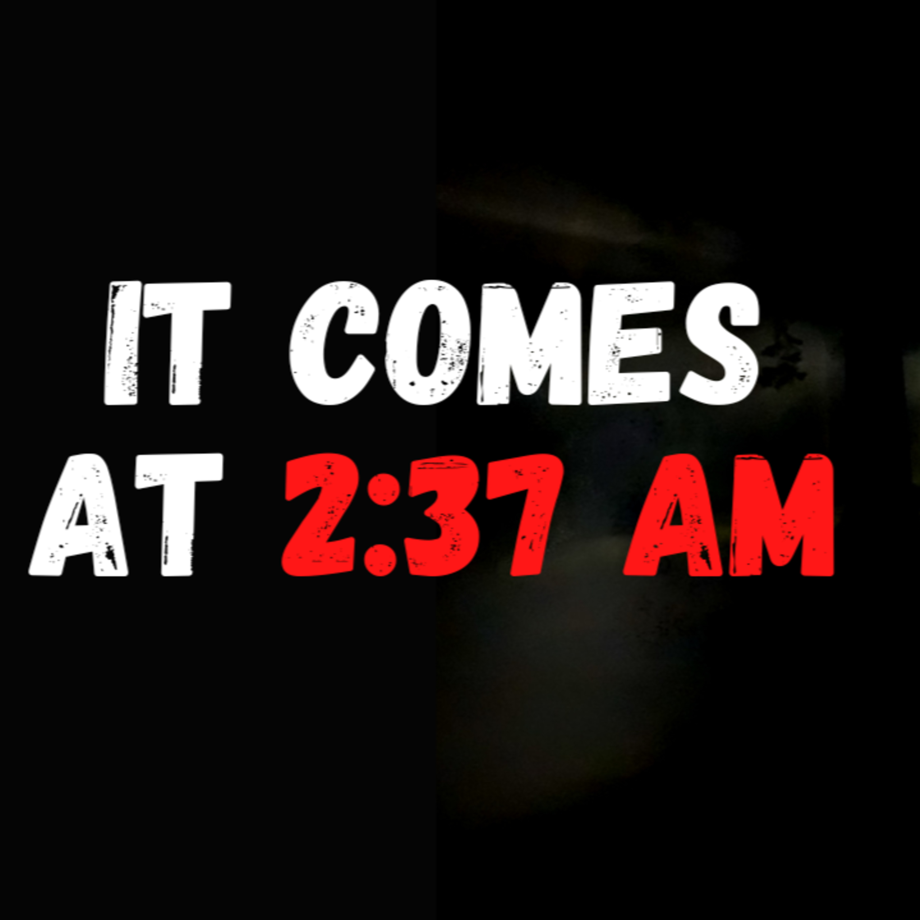 The Howls at 2:37AM will definitely kill me episode artwork