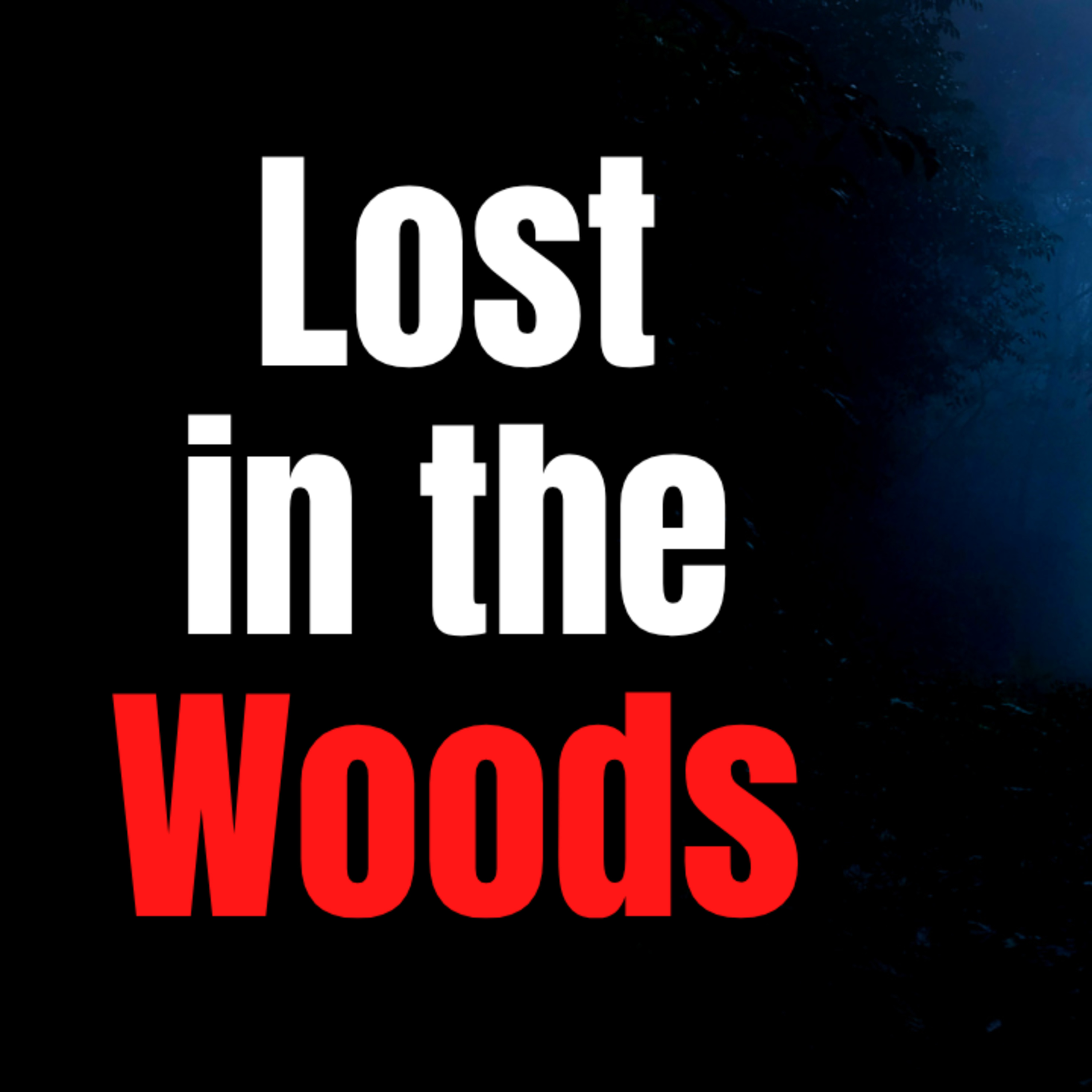 Lost in the woods episode artwork