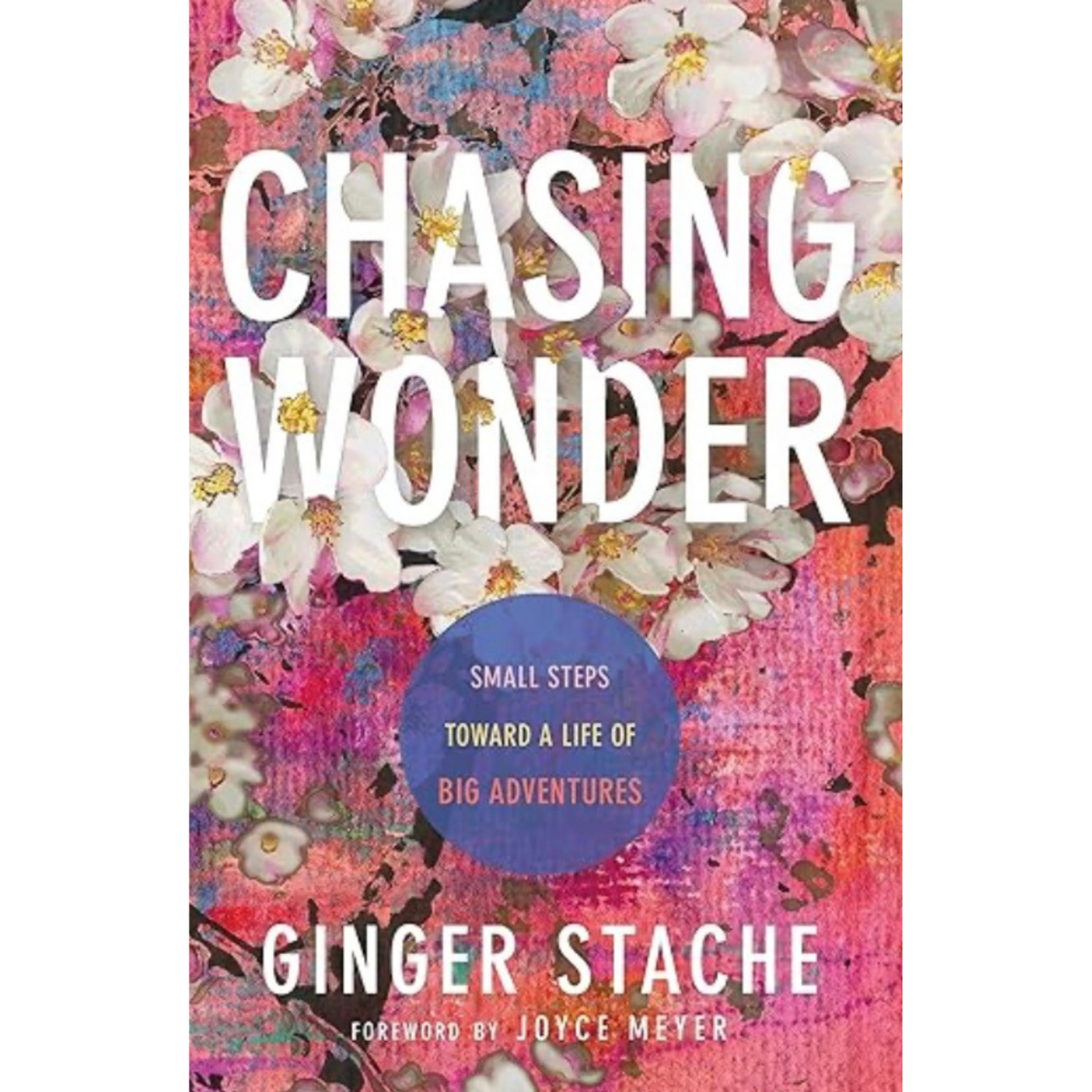 追寻生活中的美好和惊喜 Chasing Wonder by Ginger Stache  episode artwork