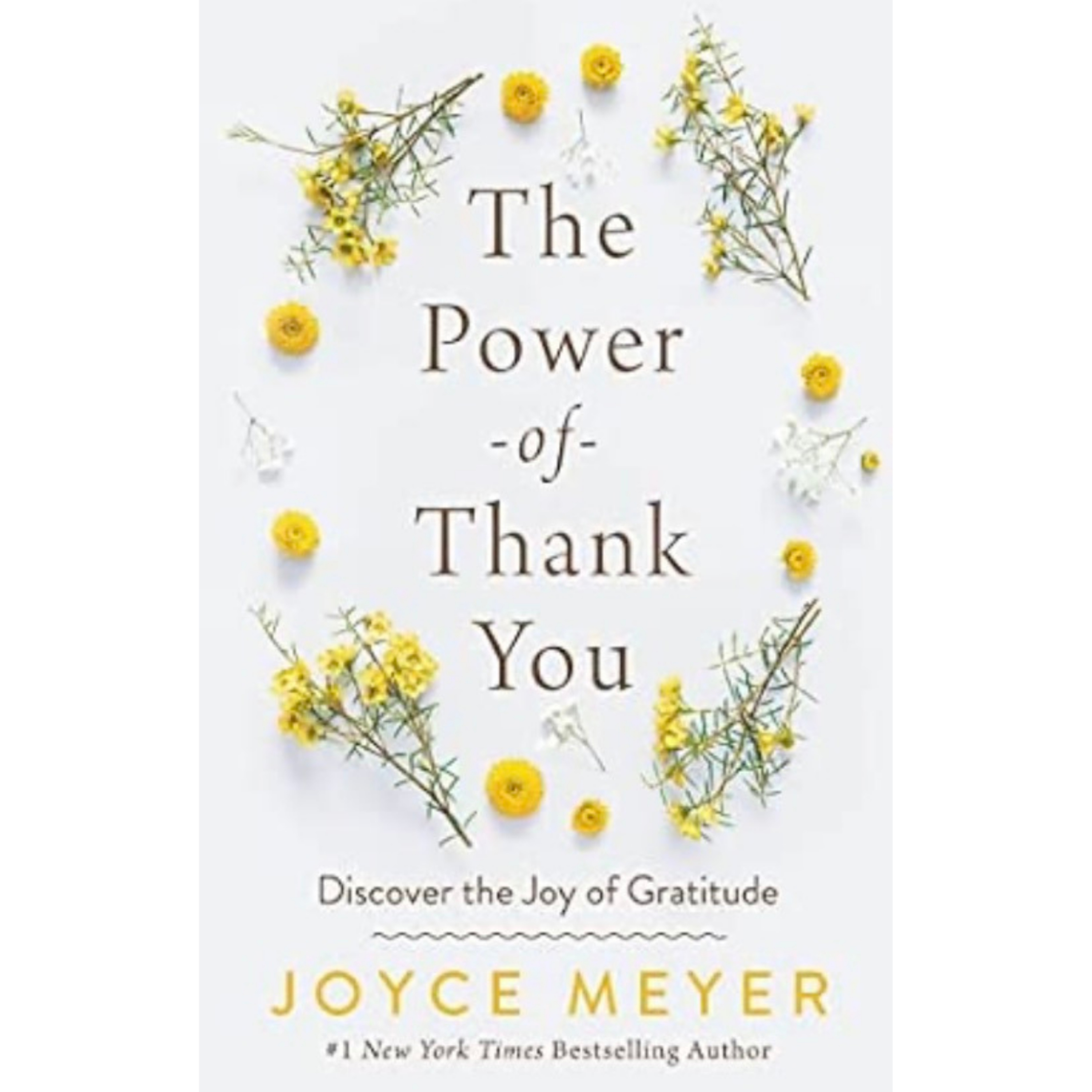 感恩的力量 The Power of Thank You by Joyce Meyer episode artwork