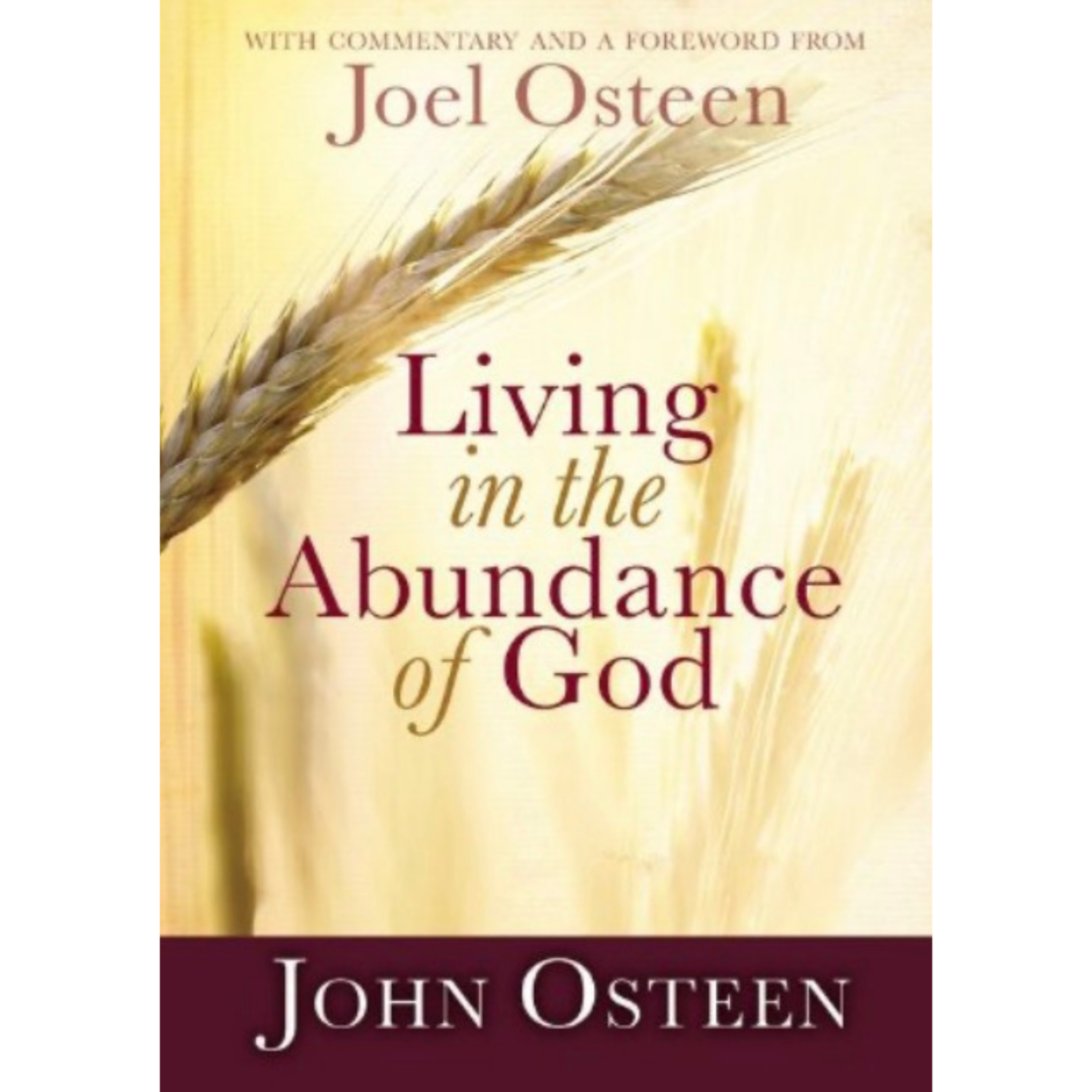 活在上帝的丰盛中 Living in the Abundance of God by John Osteen episode artwork