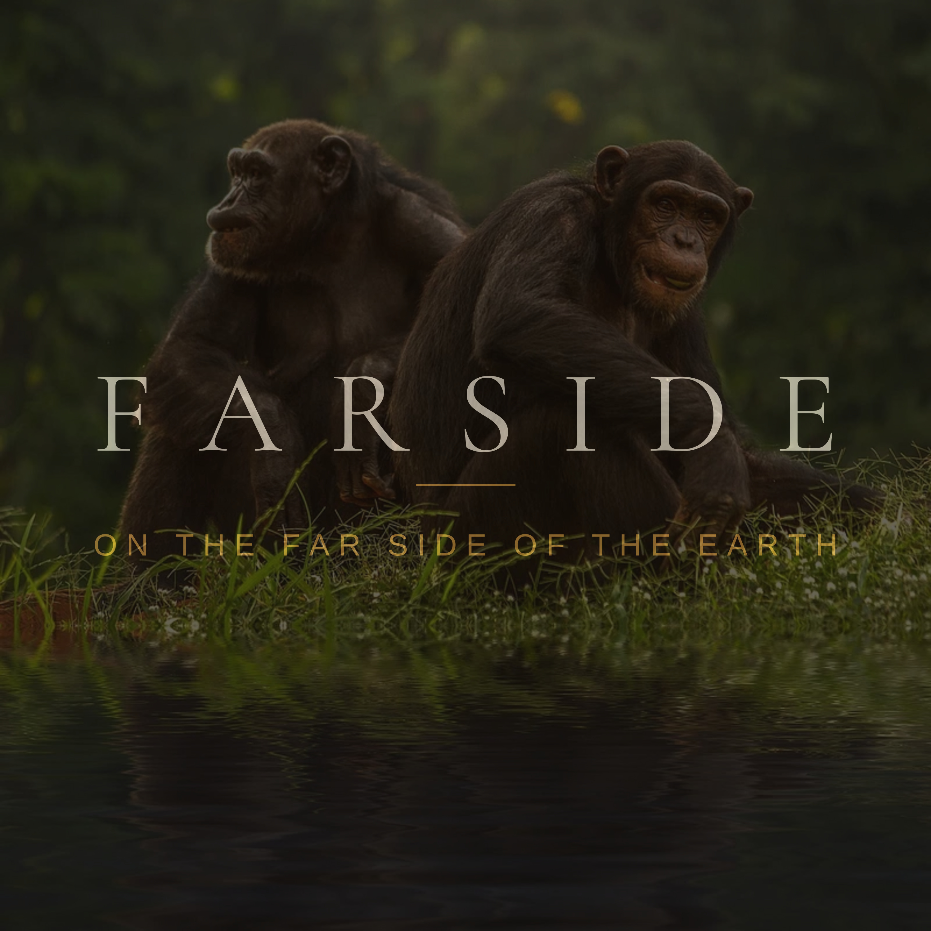 The Lake at the Edge of the World — Mahale, Tanzania episode artwork