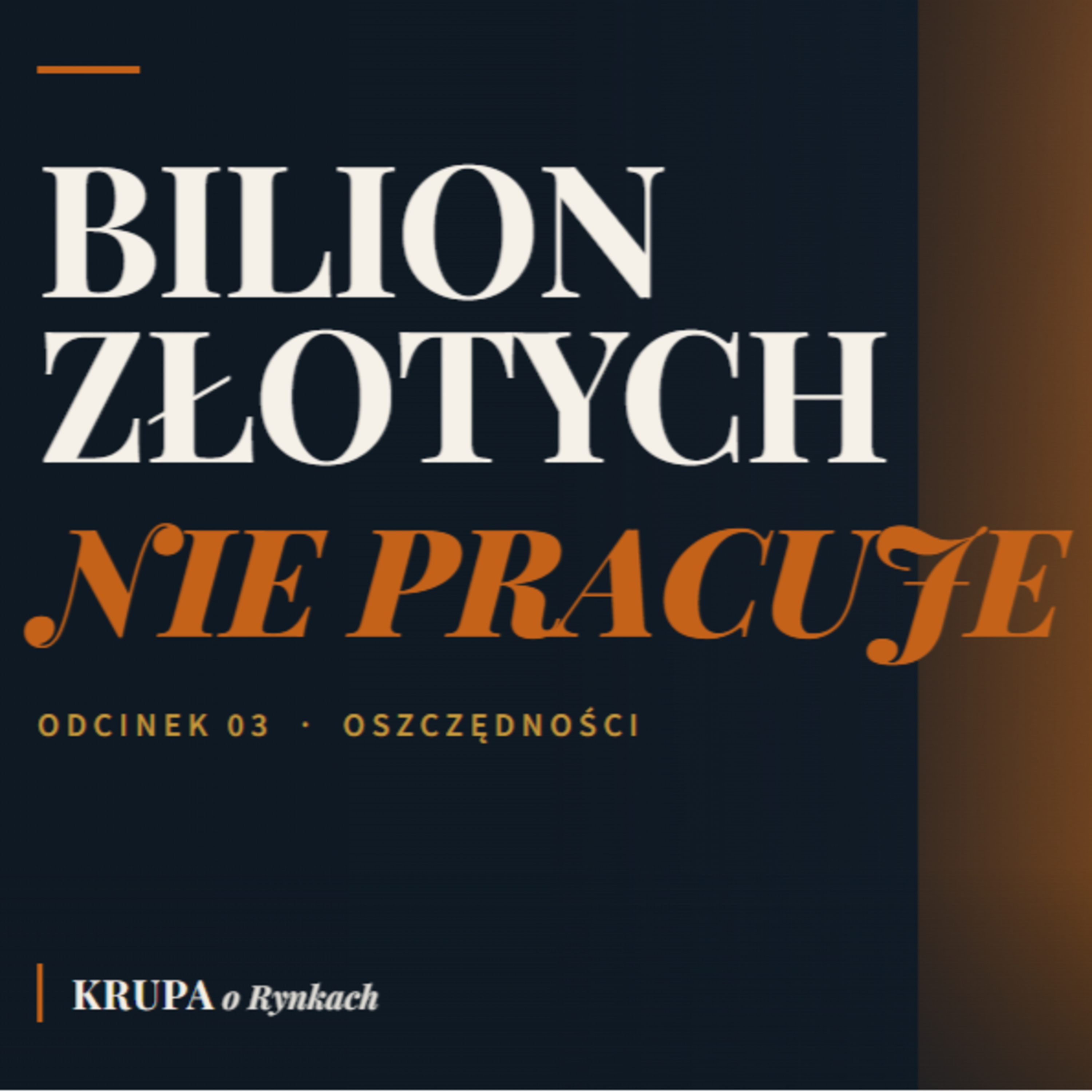 Bilion złotych nie pracuje. Co tracą Polacy? episode artwork