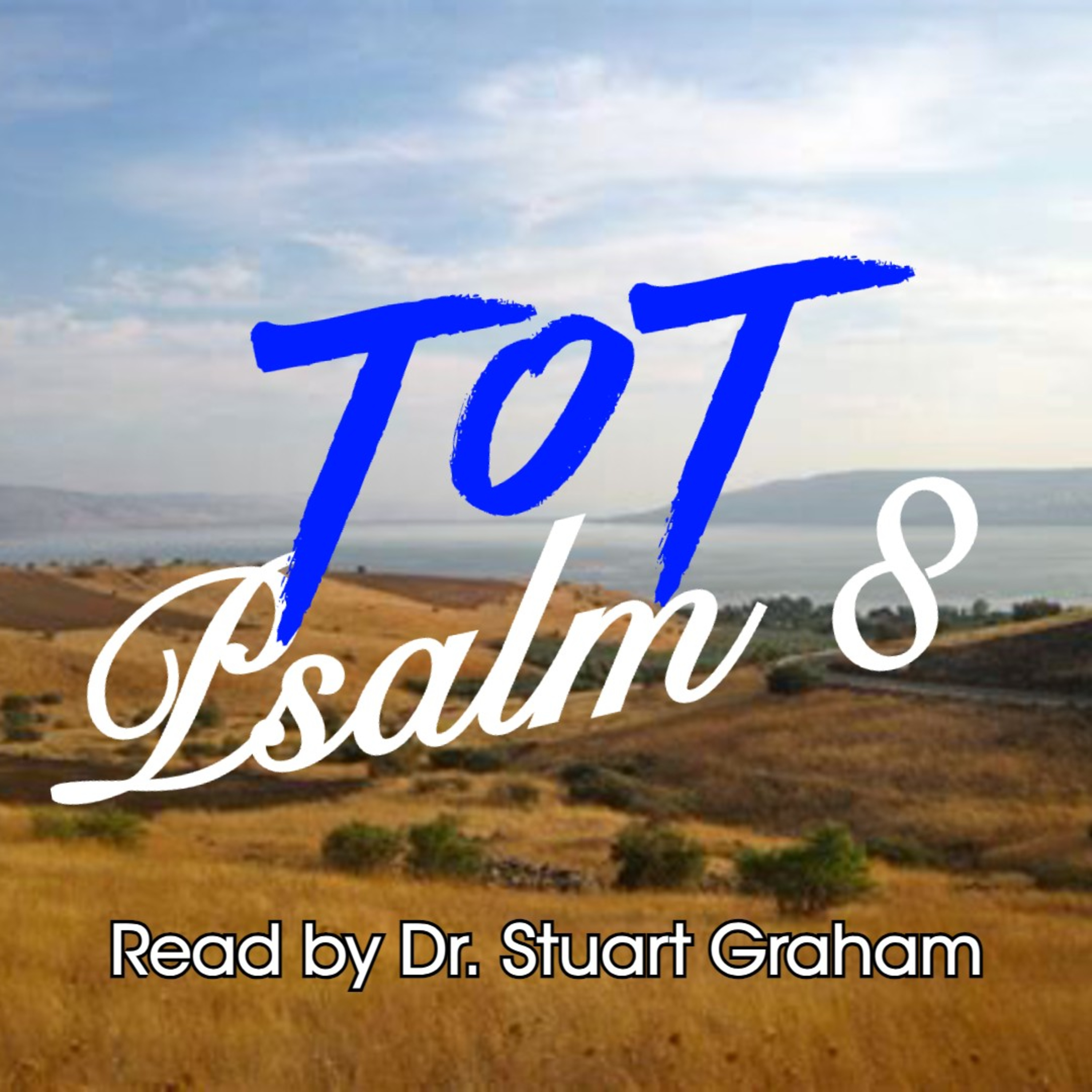 Psalm 8 episode artwork