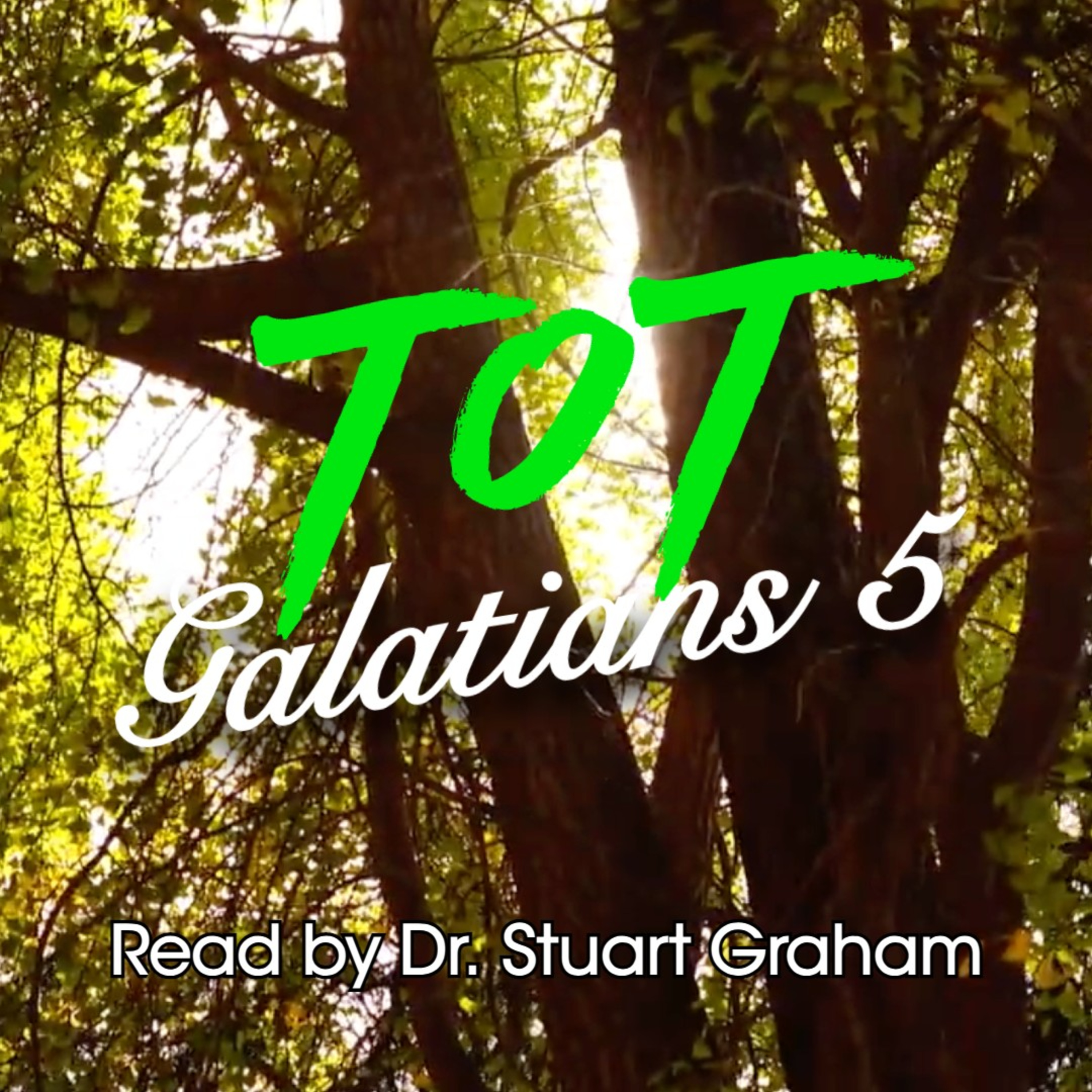 Galatians: Chapter 5 episode artwork