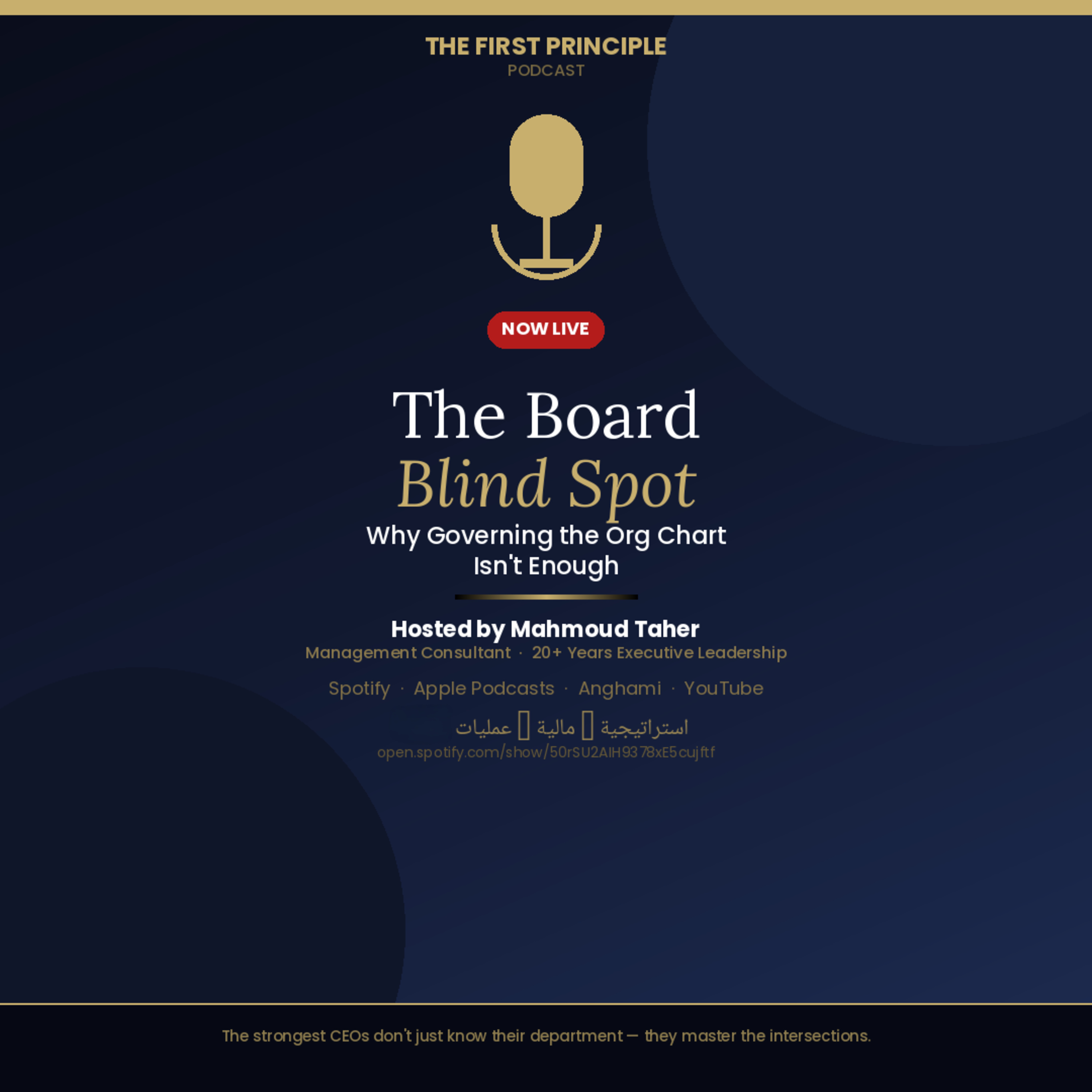 The Board Blind Spot episode artwork