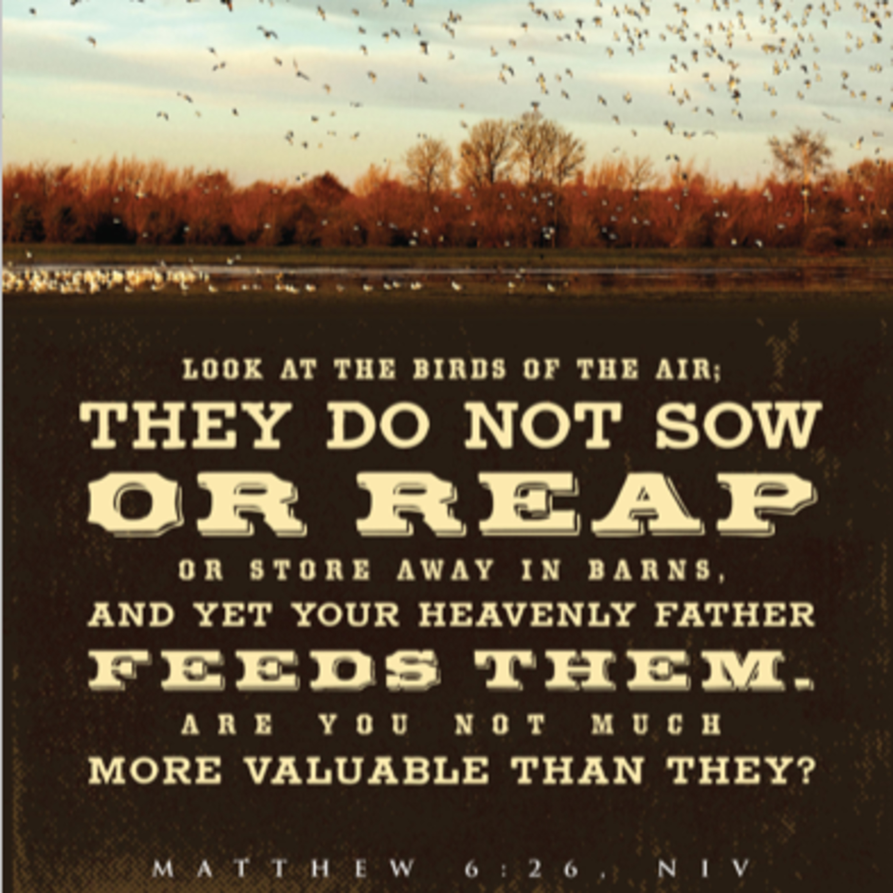 Leave it to God episode artwork