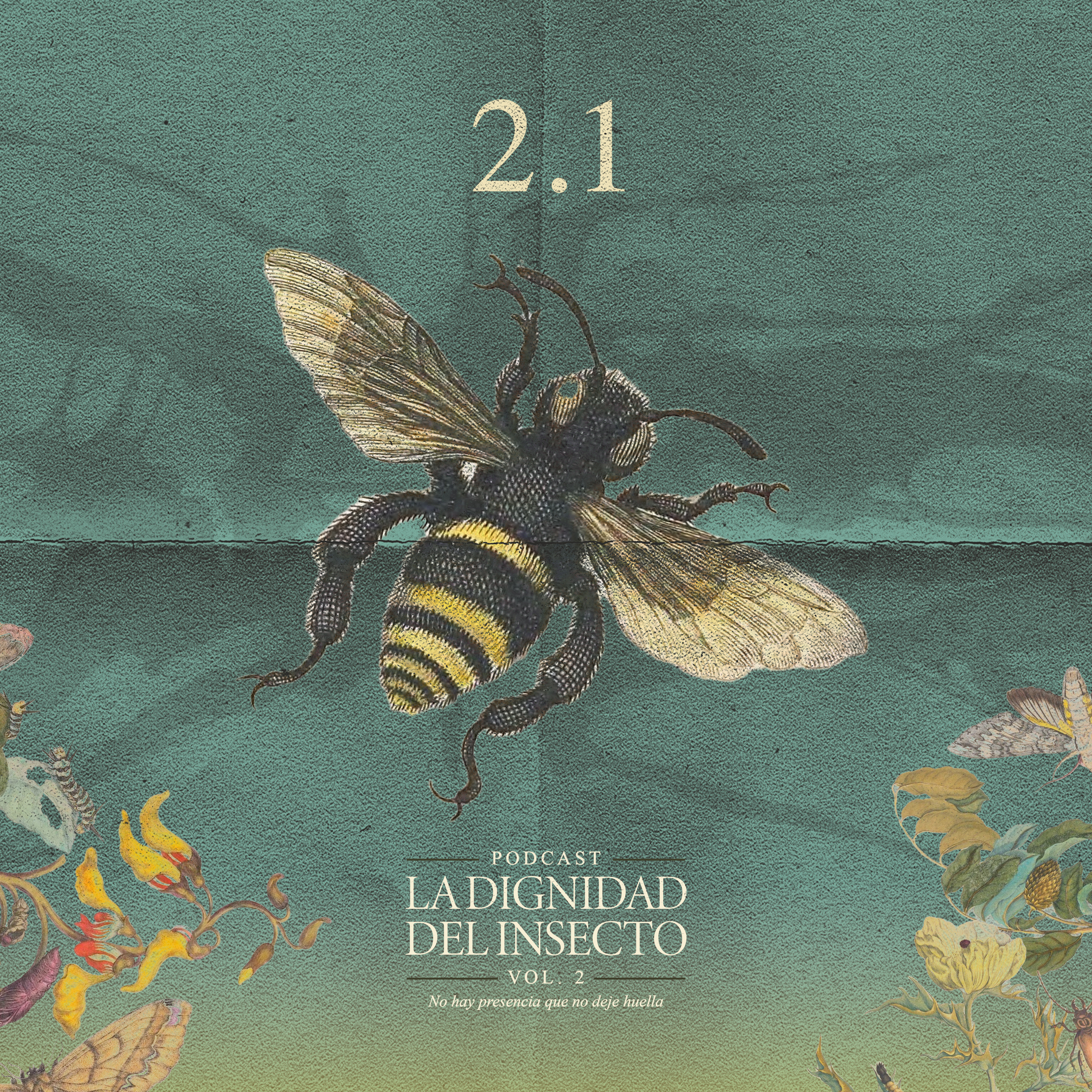 Investigar el asombro | La dignidad del insecto Podcast Vol.2 No hay presencia que no deje huella