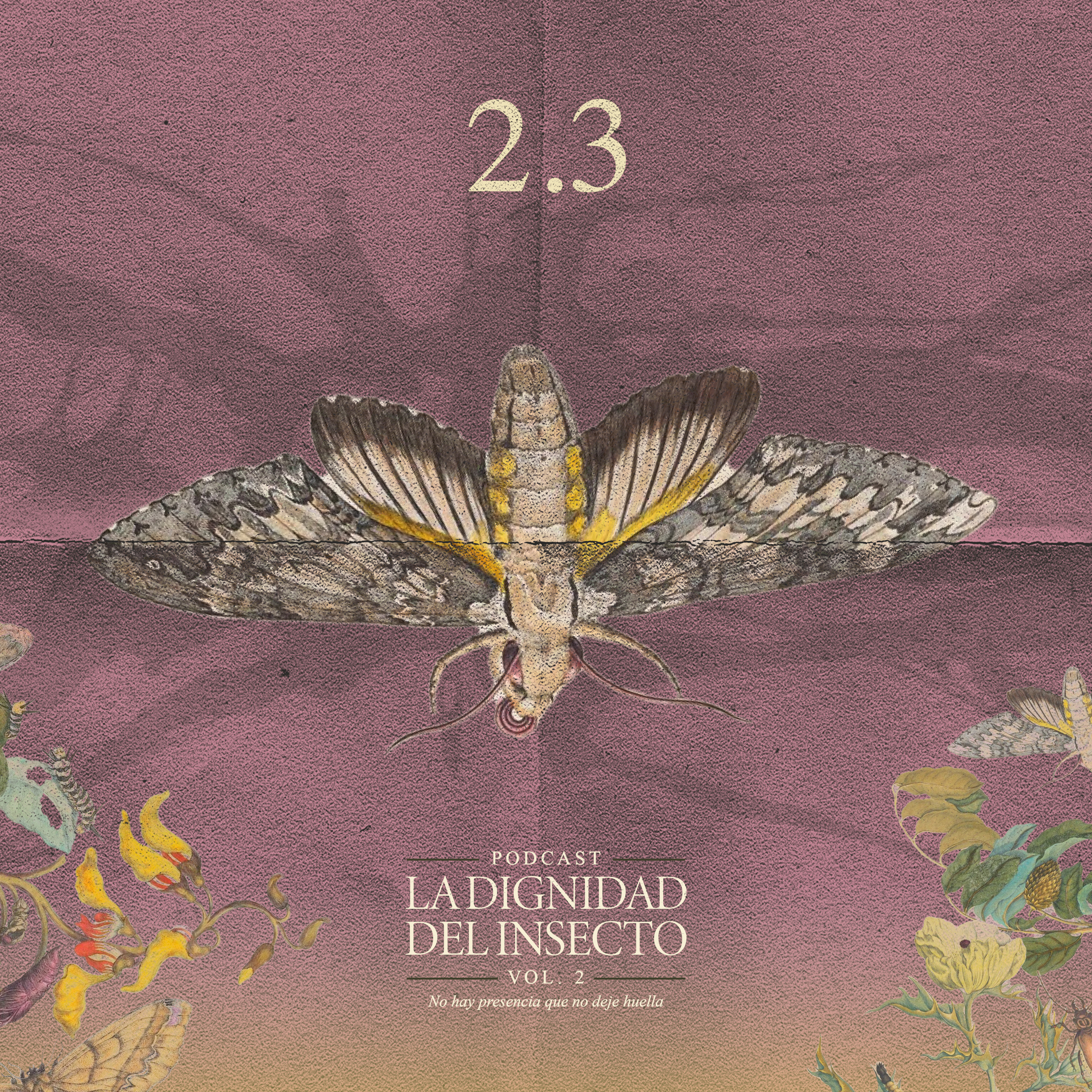Sembrar en medio del desastre | La dignidad del insecto Podcast Vol.2 No hay presencia que no deje huella