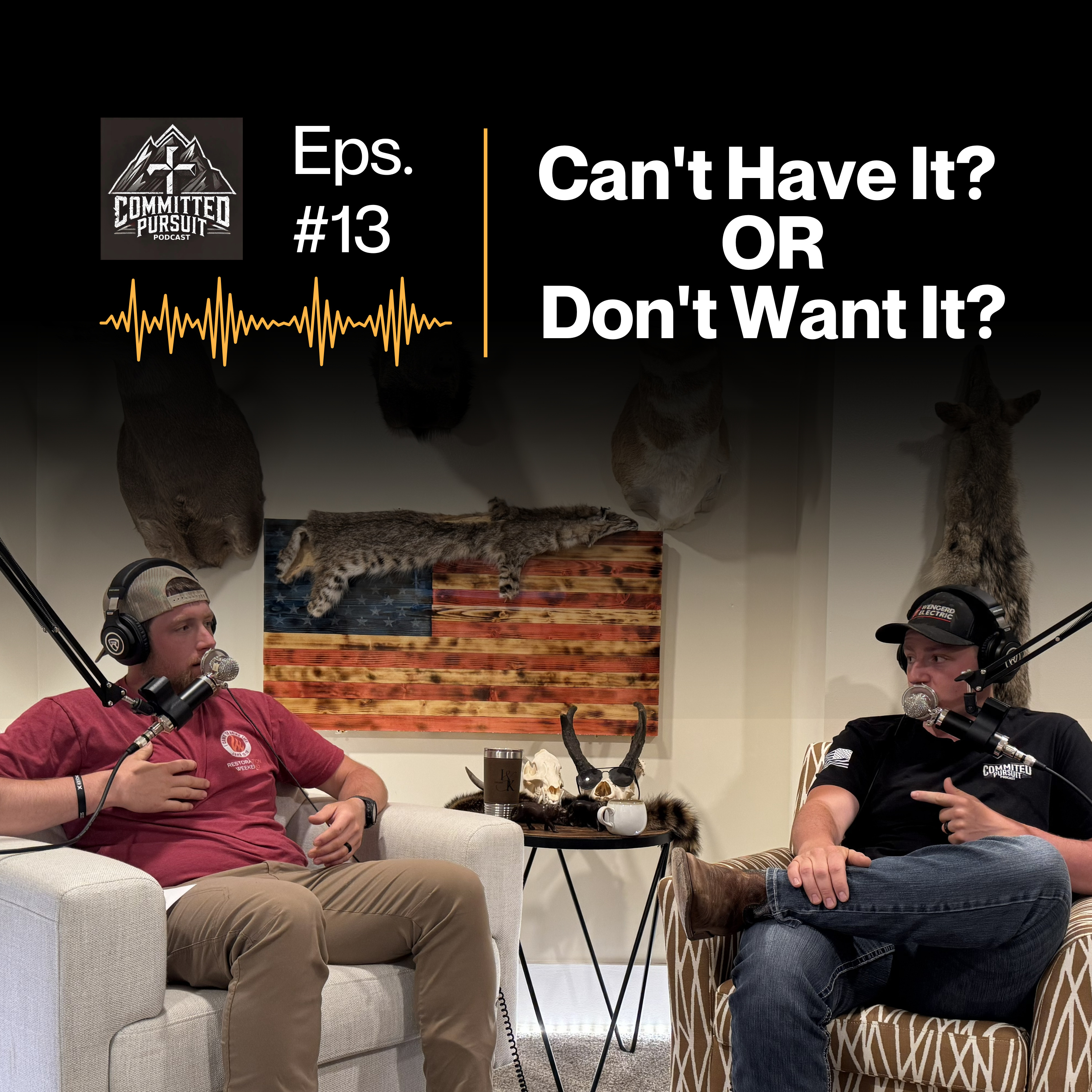 #13 Can't Have It? OR Don't Want It? episode artwork