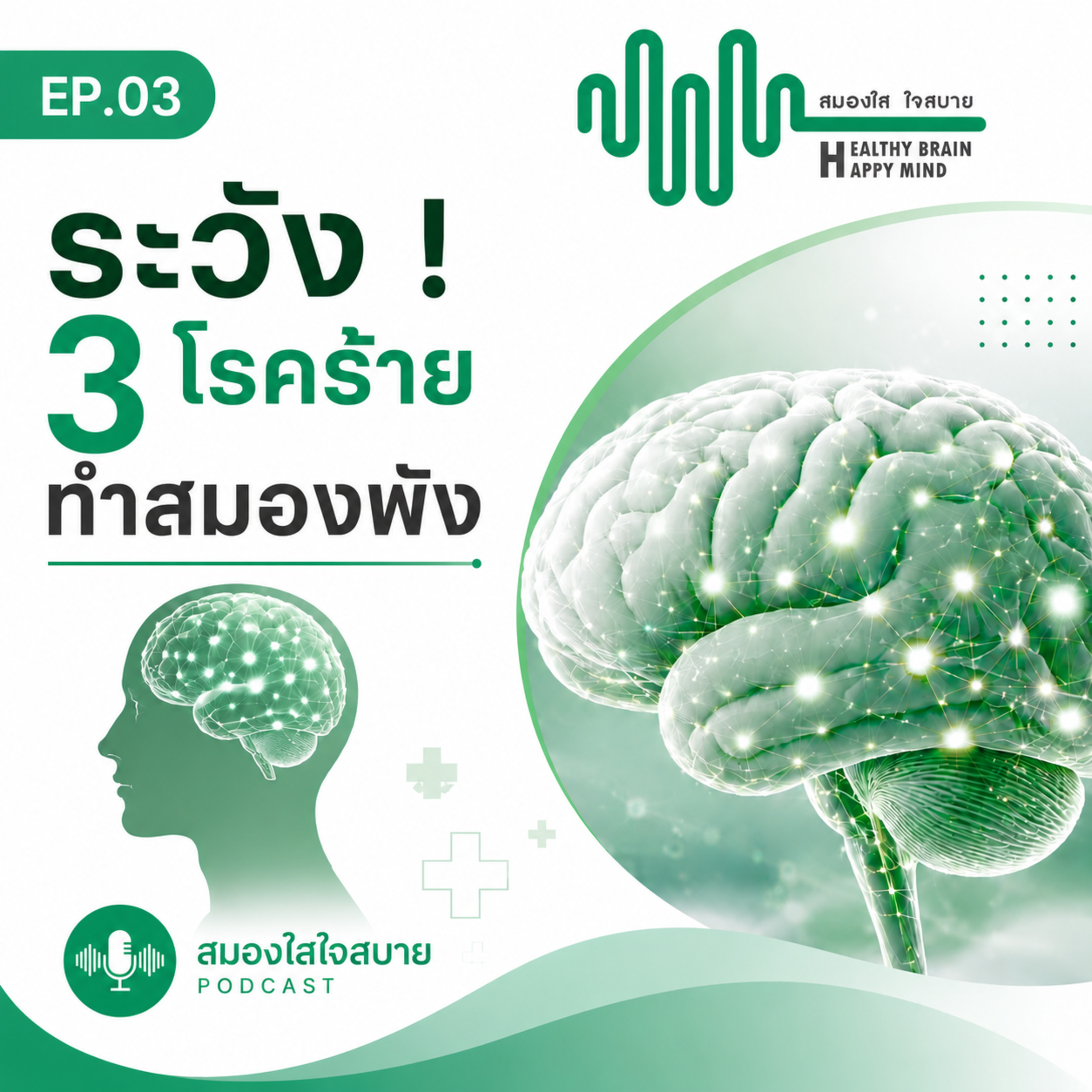 ระวัง ! 3 โรคร้ายทำสมองพัง  episode artwork