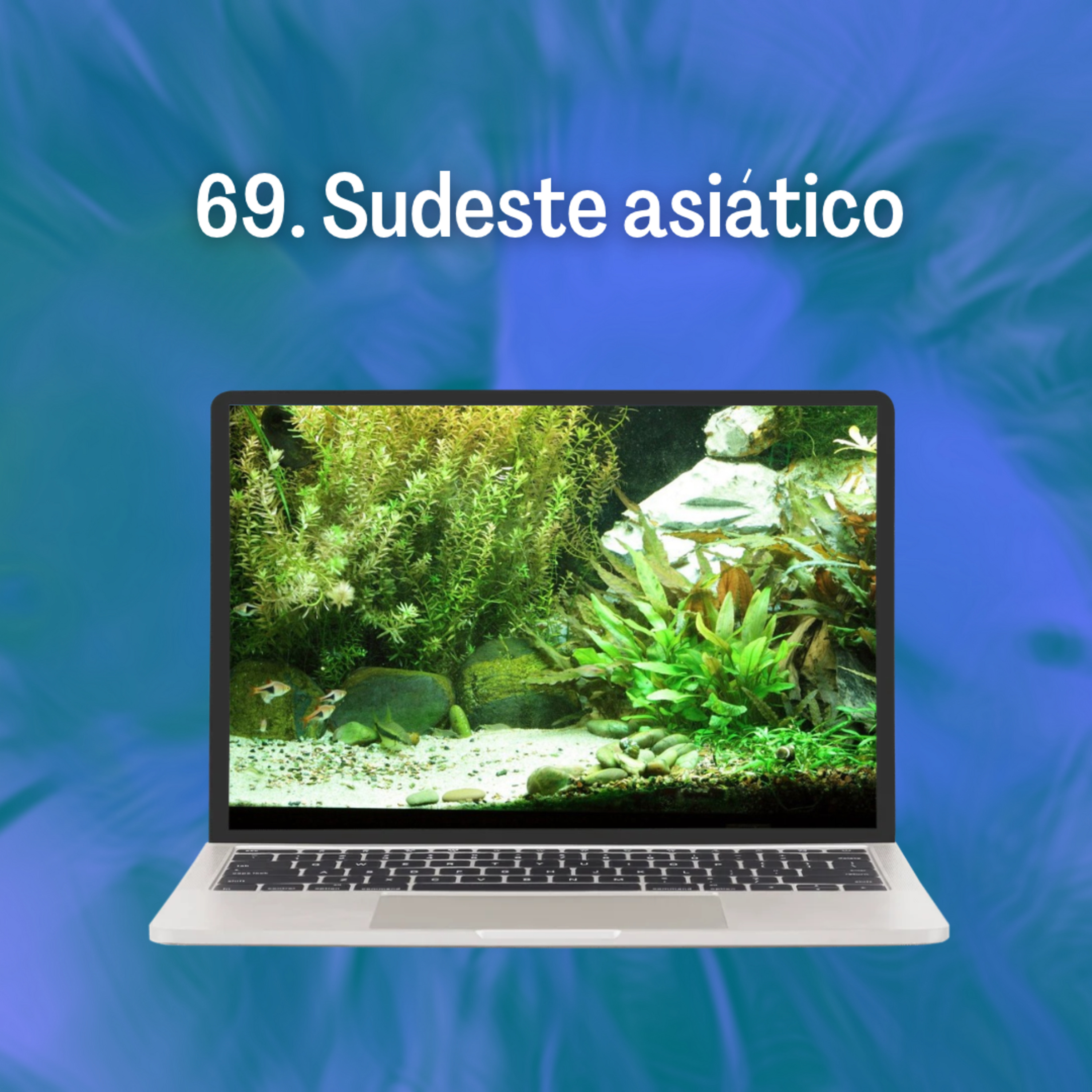 69. Sudeste Asiático