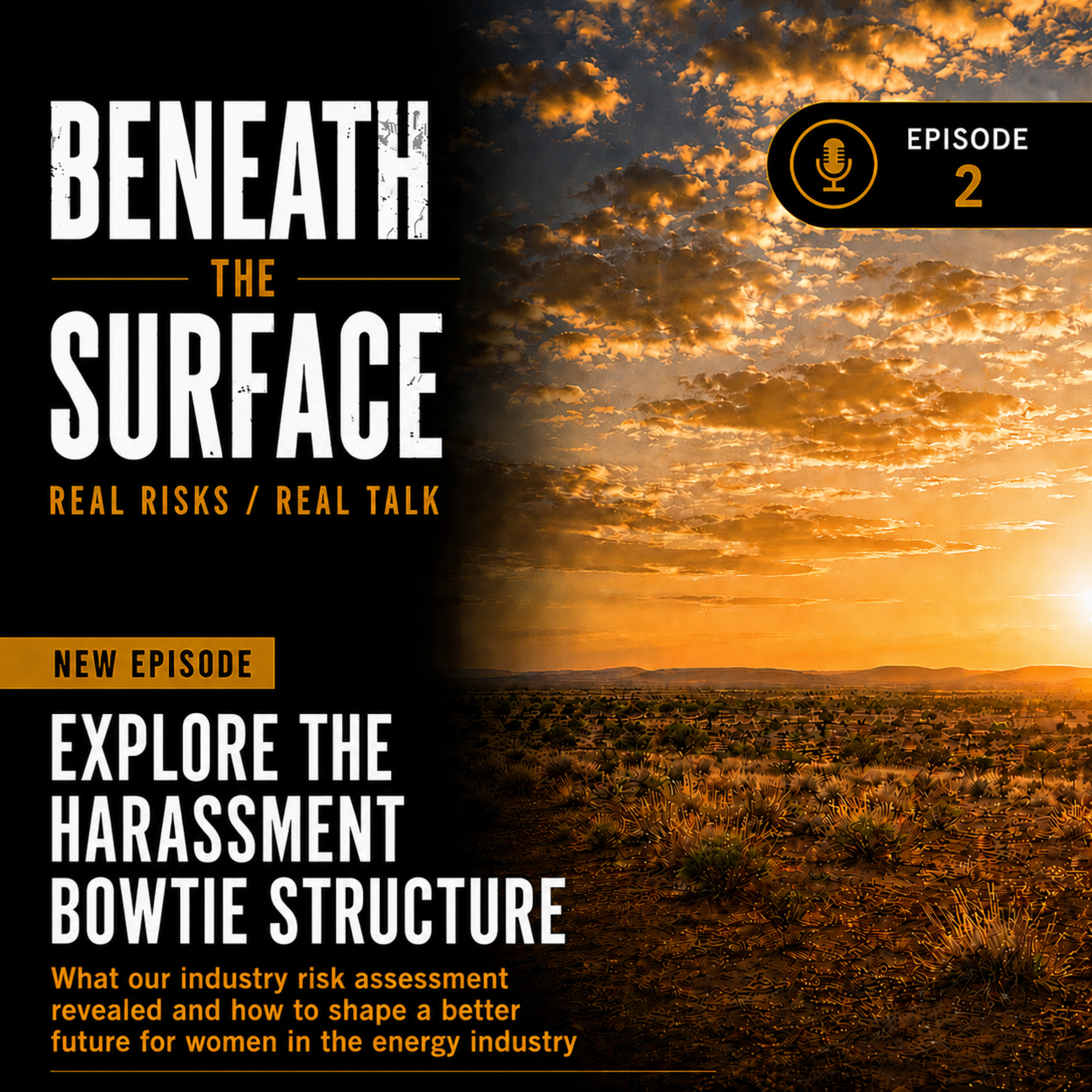 Episode 2: Exploring the harassment bowtie structure episode artwork
