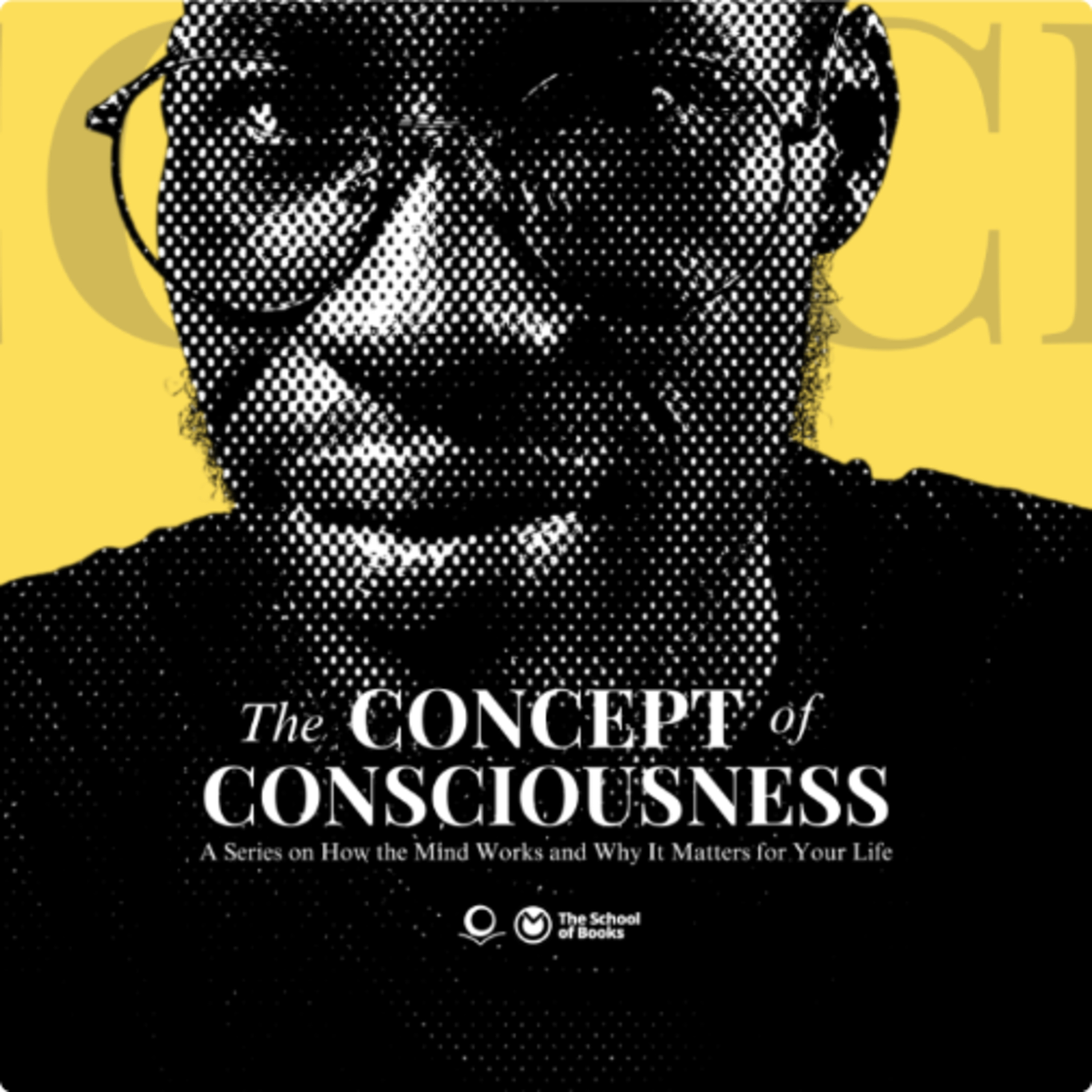 Ep. 7: Why You Must Cultivate Your Consciousness episode artwork